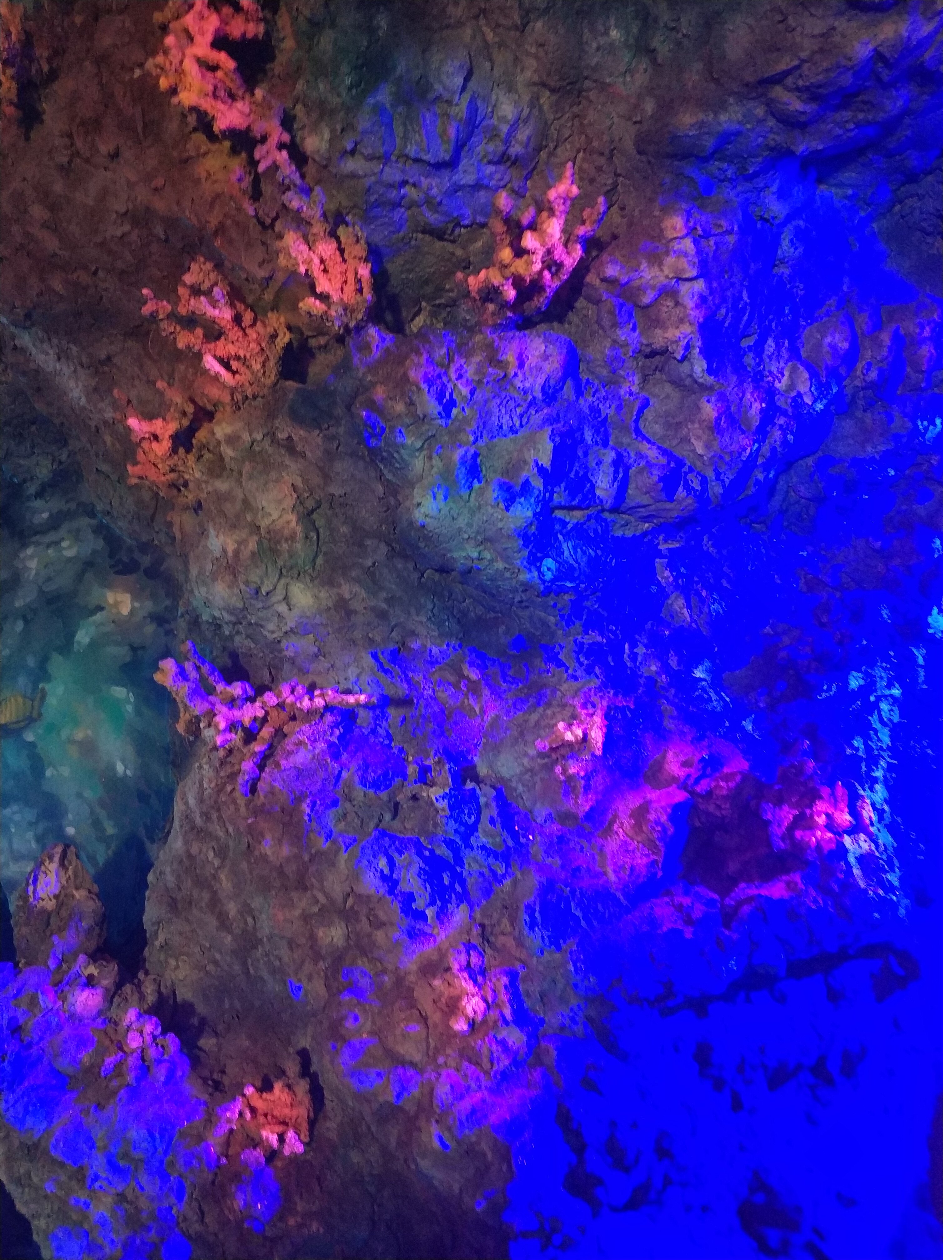 Фото Трактир