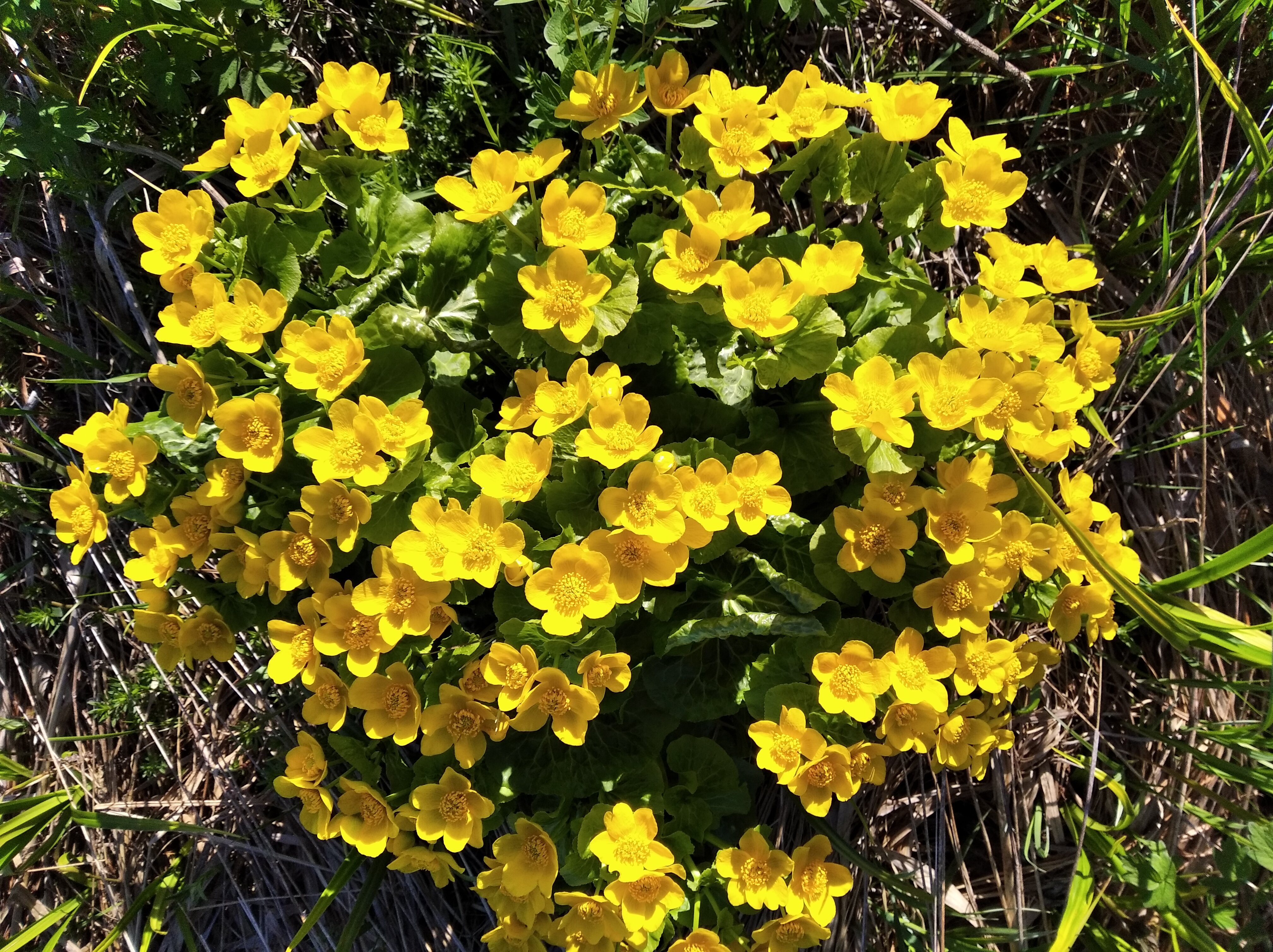 Фото Спортивно-рыболовная база отдыха Здешево
