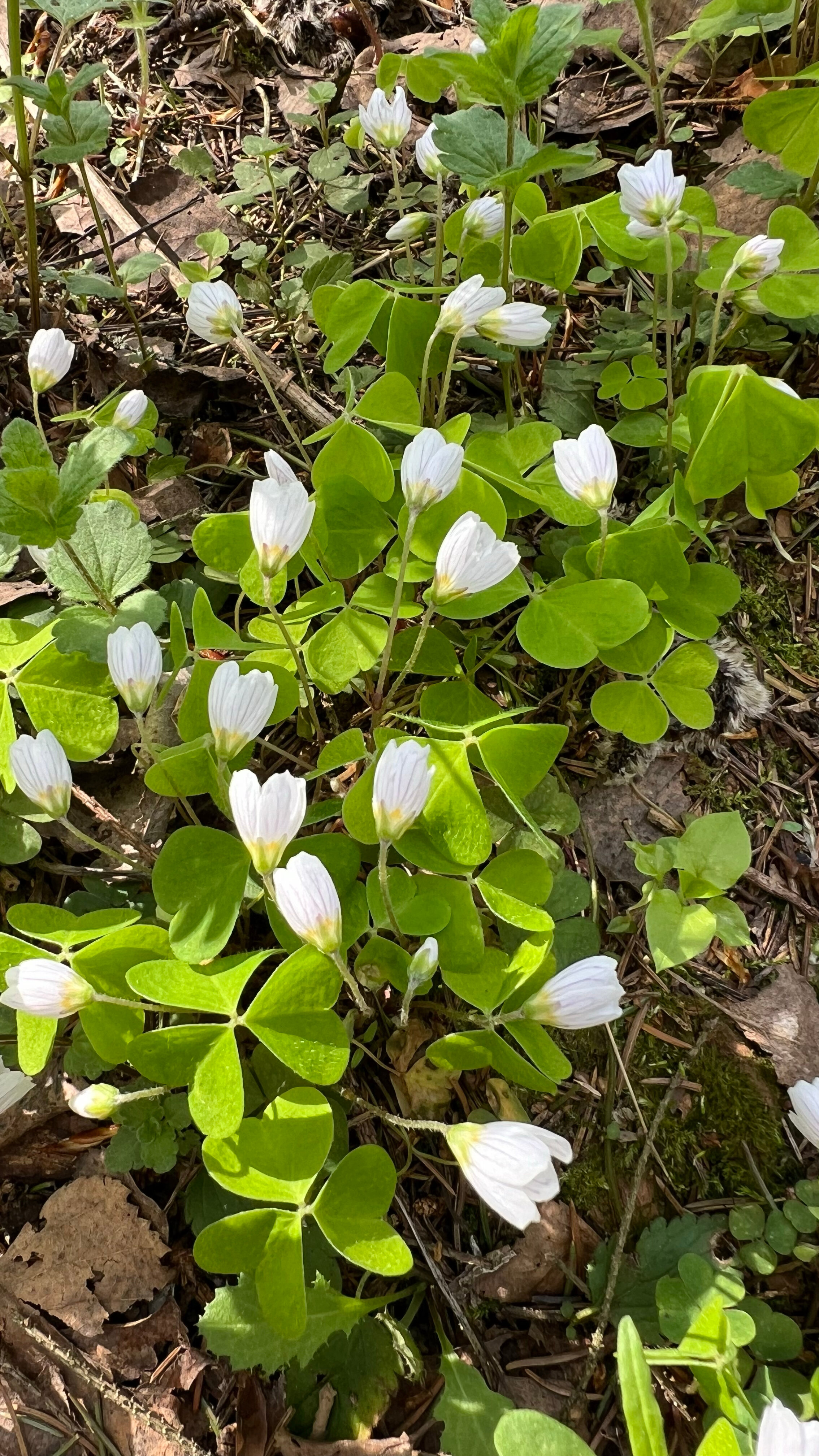 Фото Заповедник