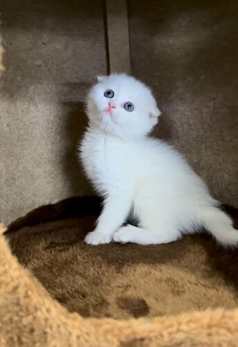 Lezbiyen hammom jinsiy aloqa onlayn