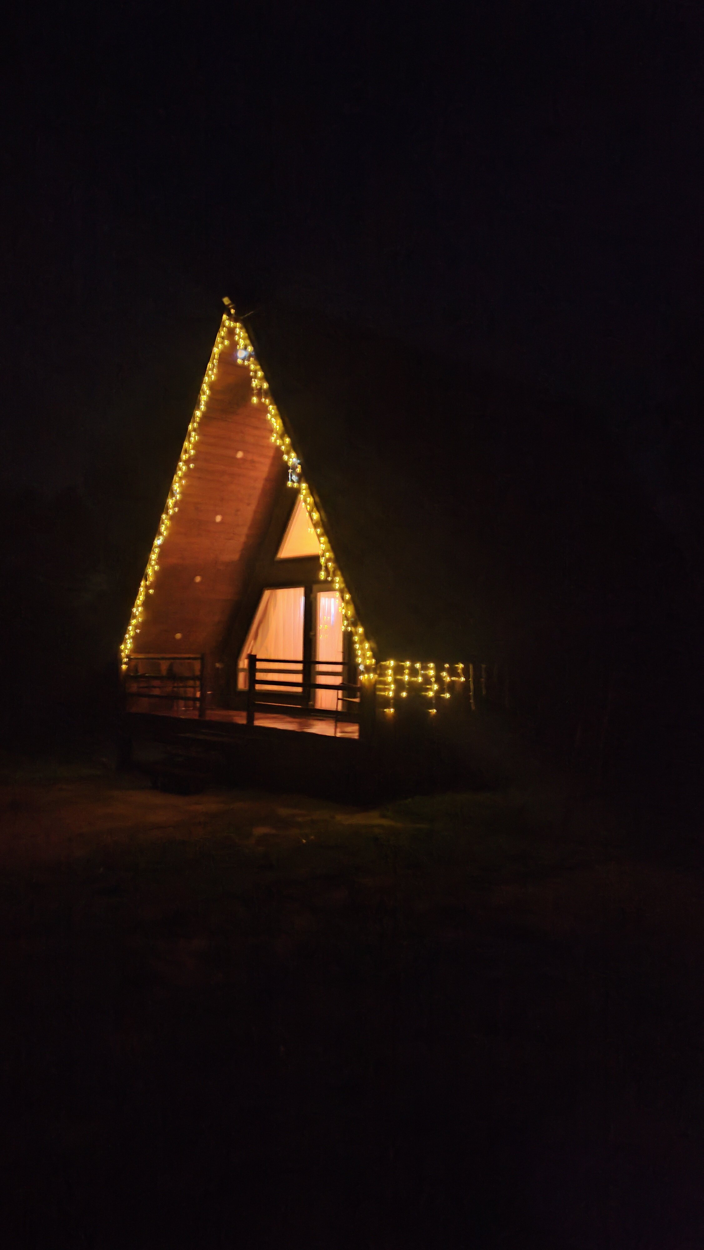 Фото Волшебный лес