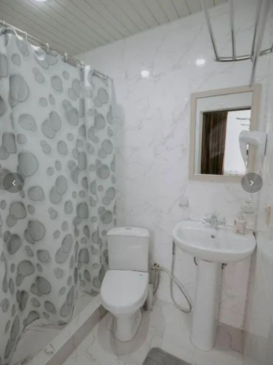 Фото Феникс