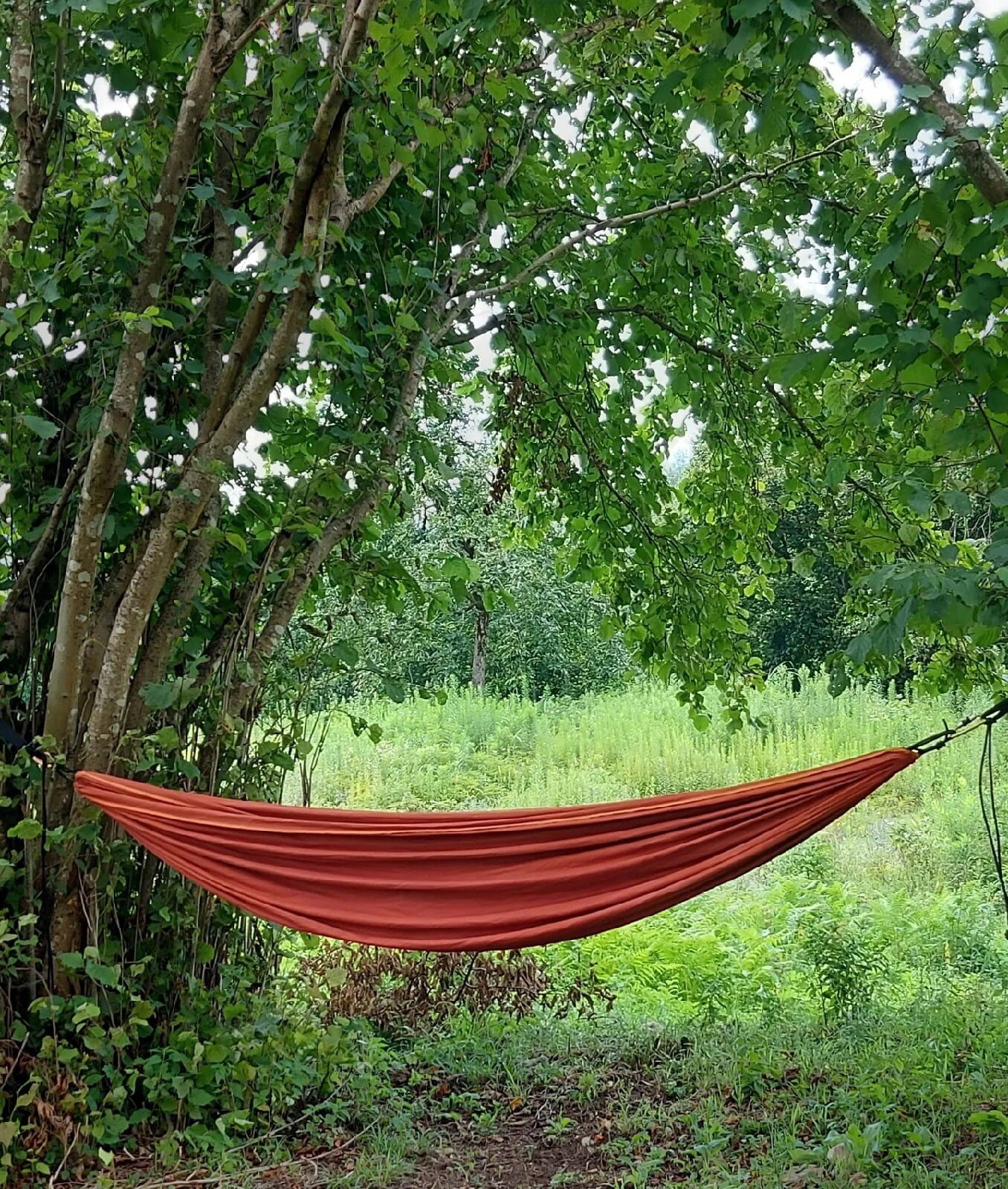 Фото Страна Души