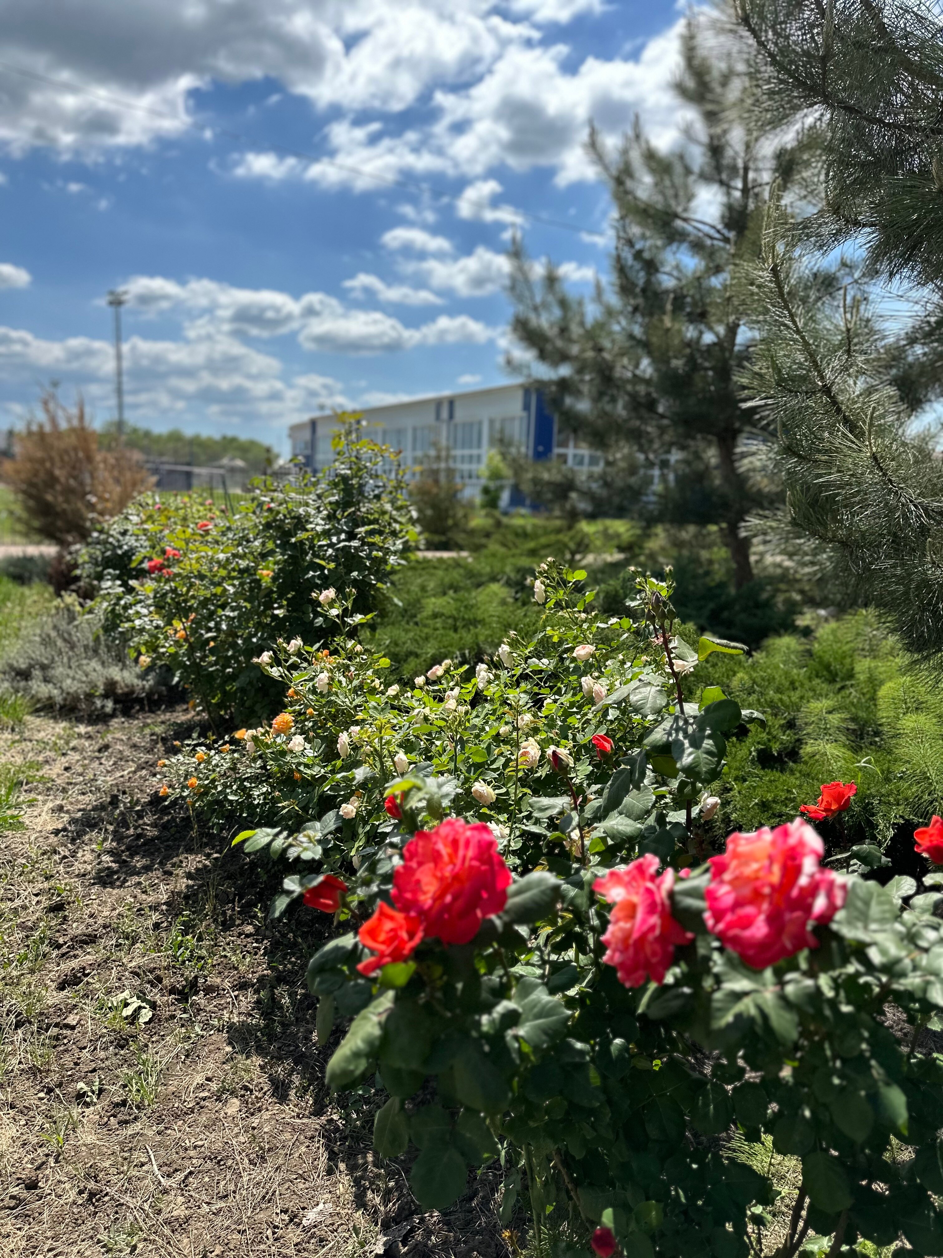 Фото Тет-а-Тет