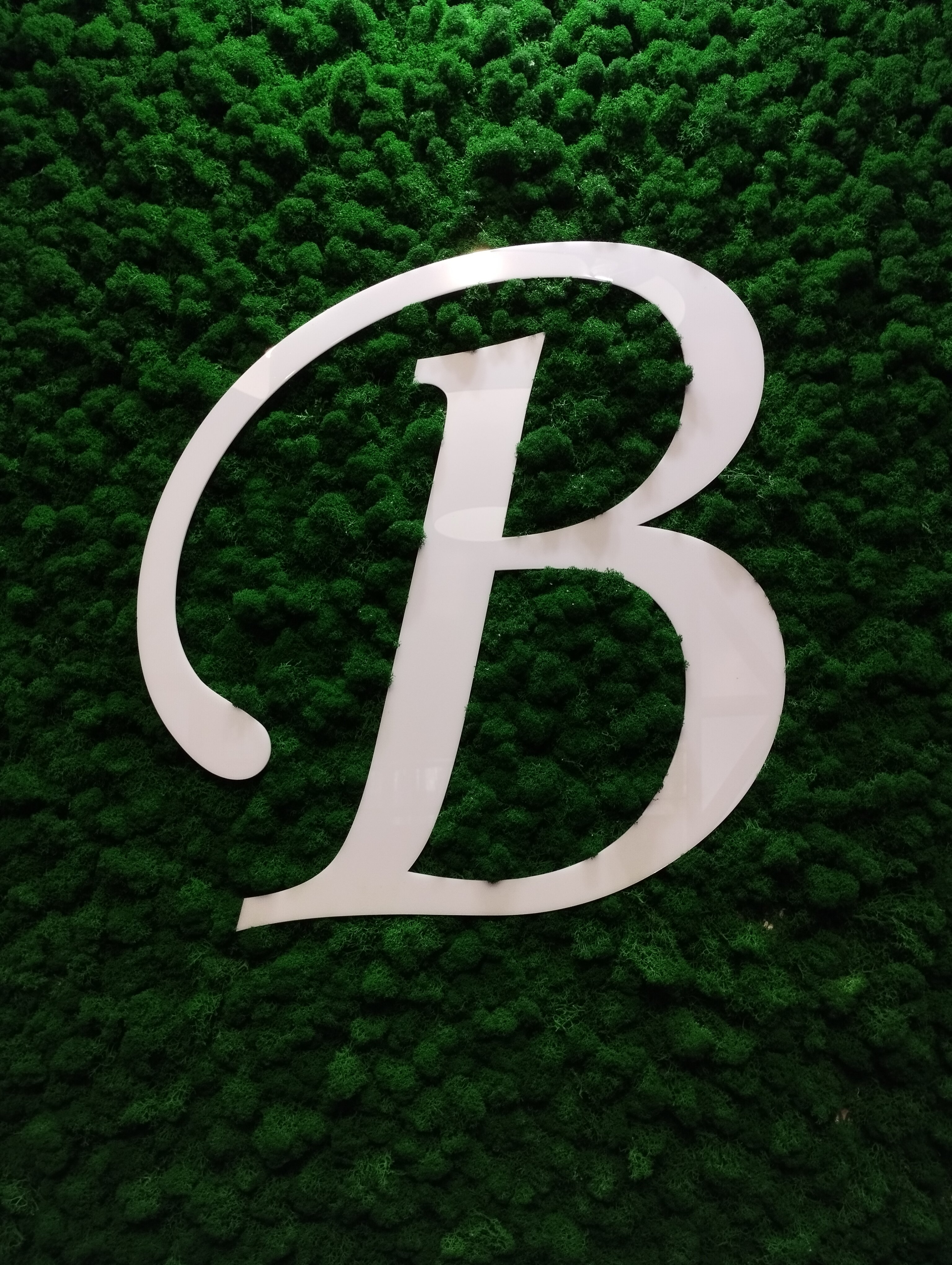 Фото Васильевский