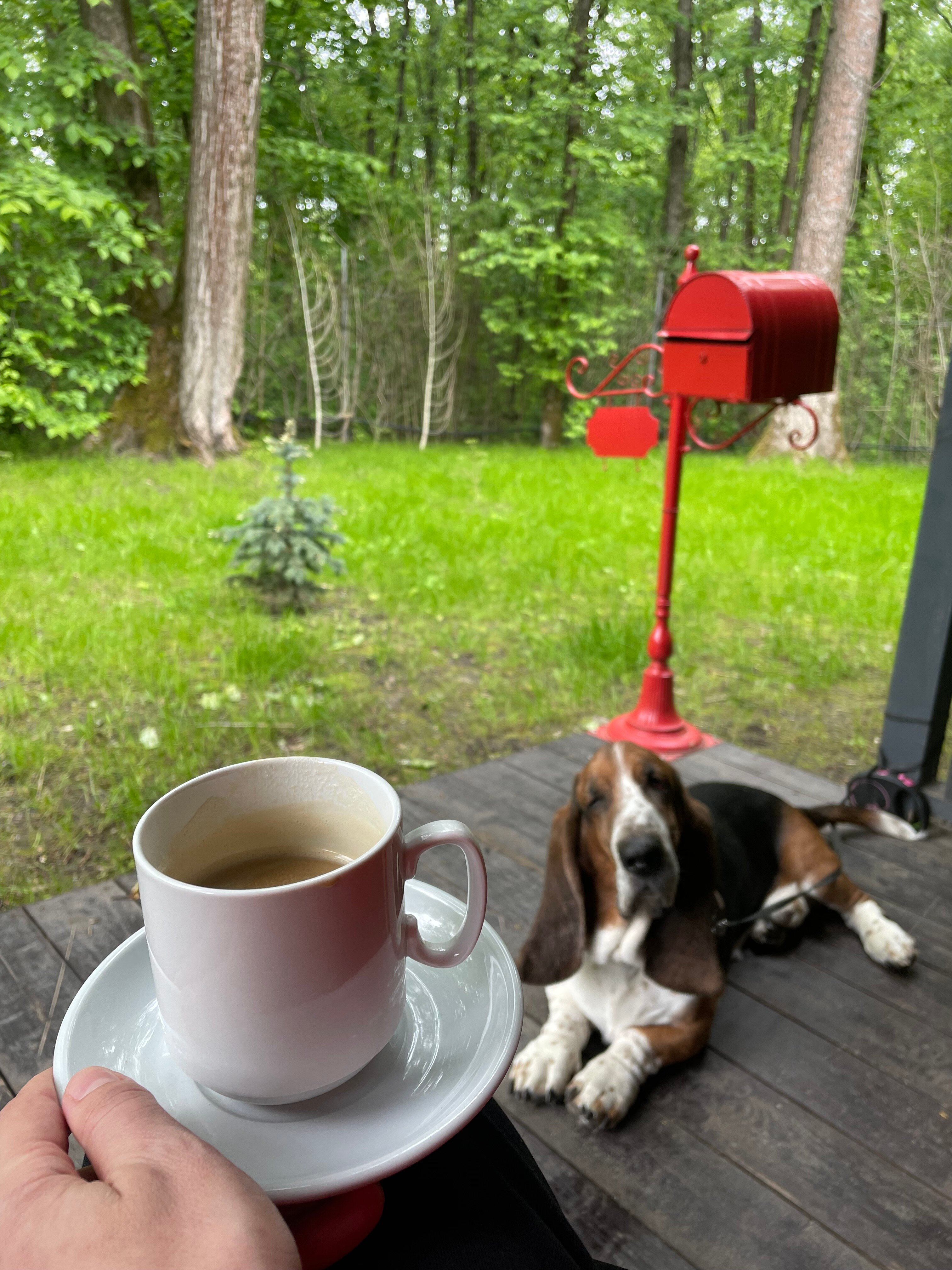 Фото Простые Радости