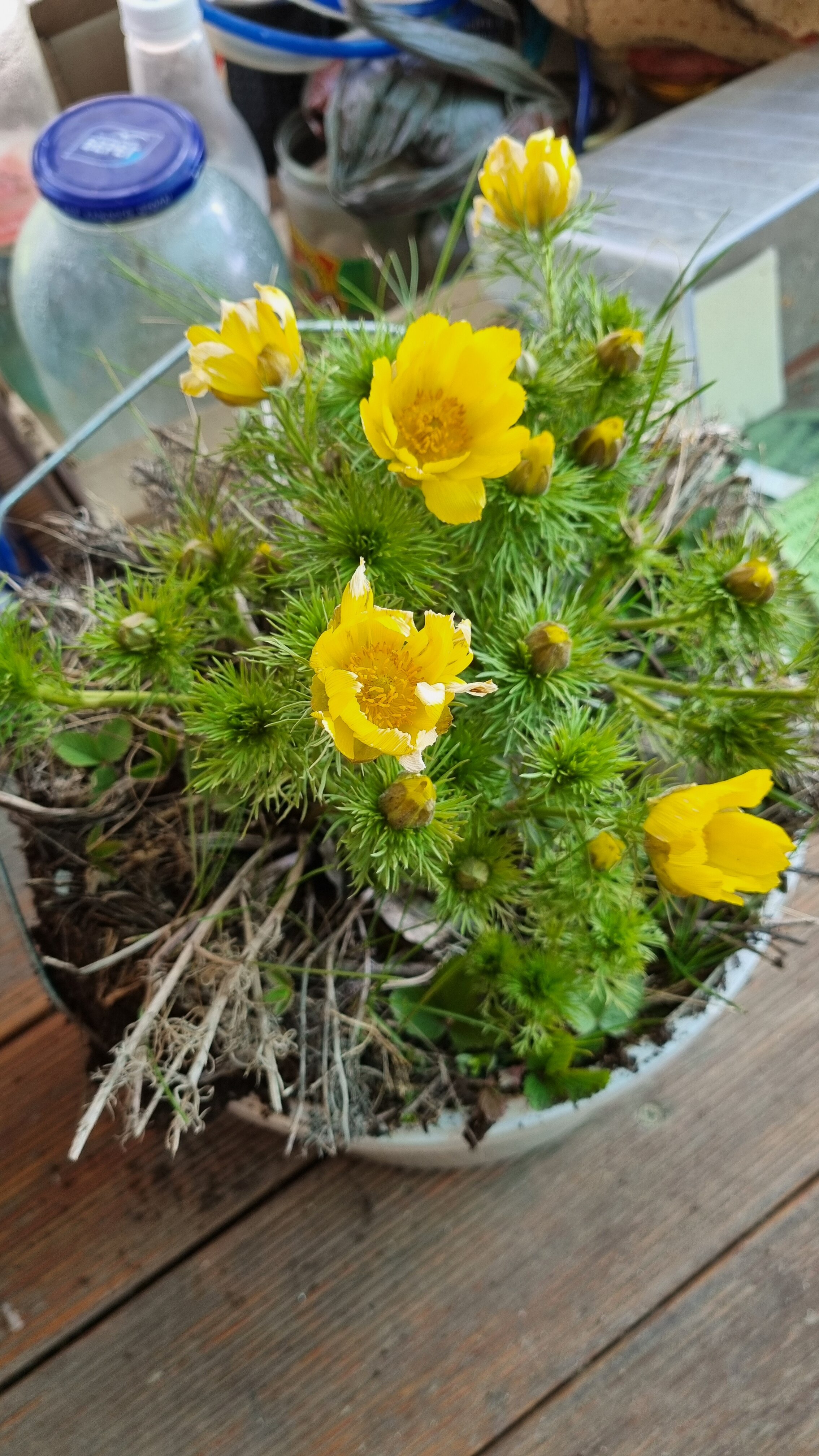 Фото Тихая заводь