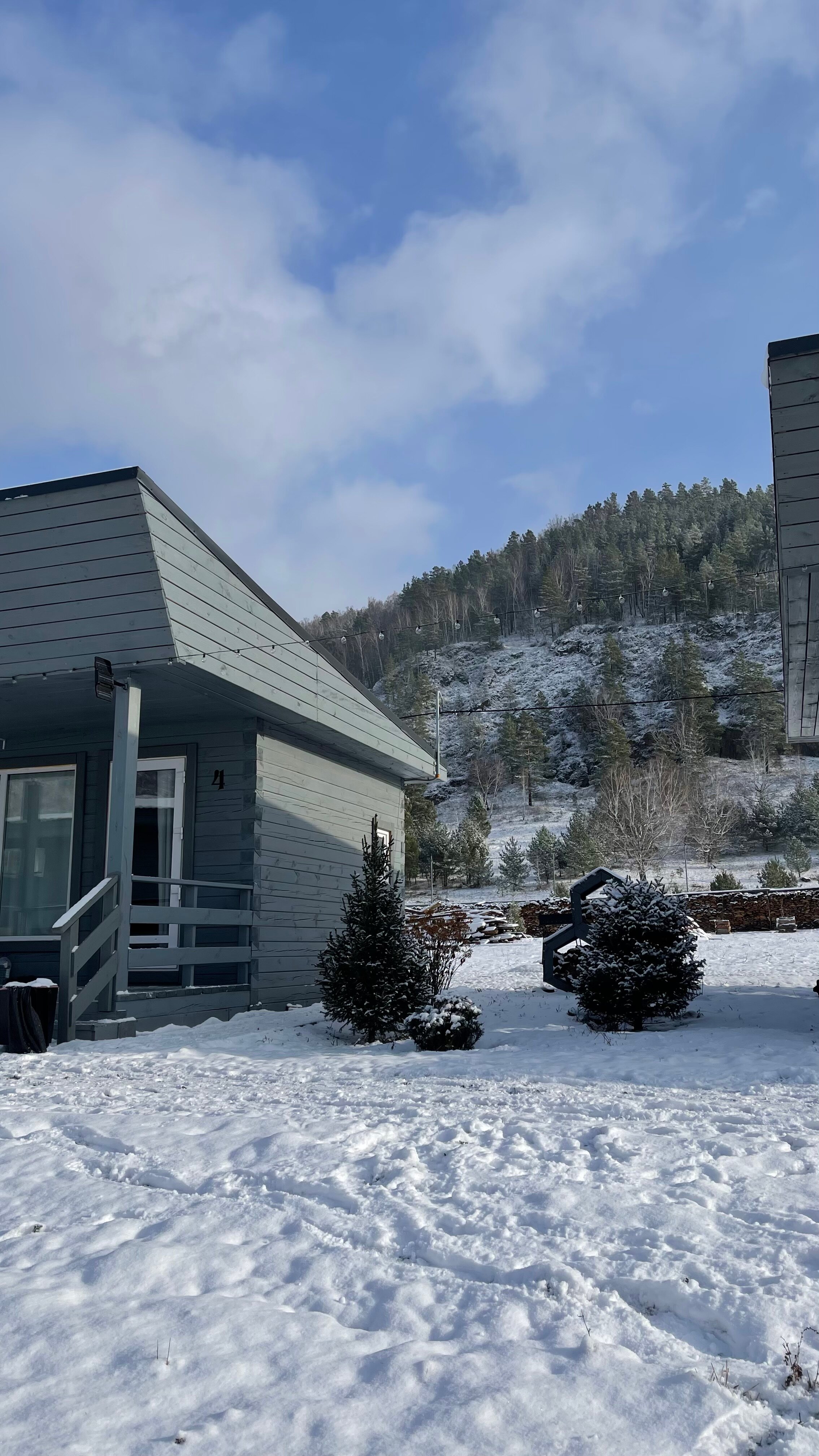 Фото Алтай Лотос