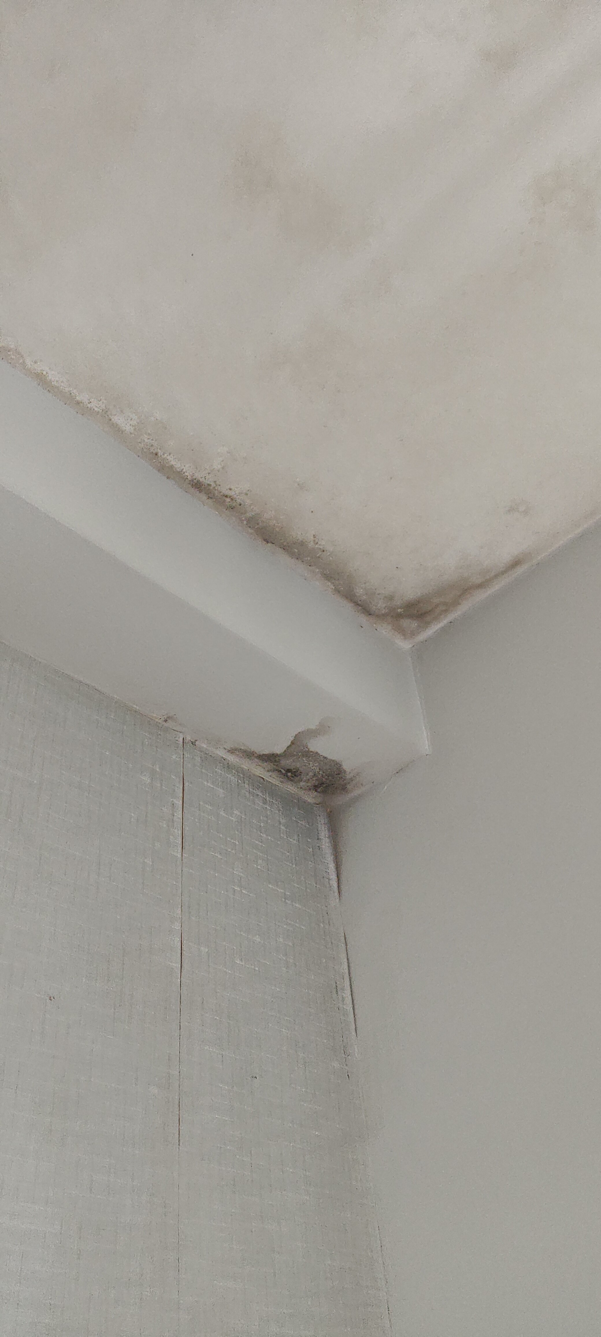 Фото Dream Tower