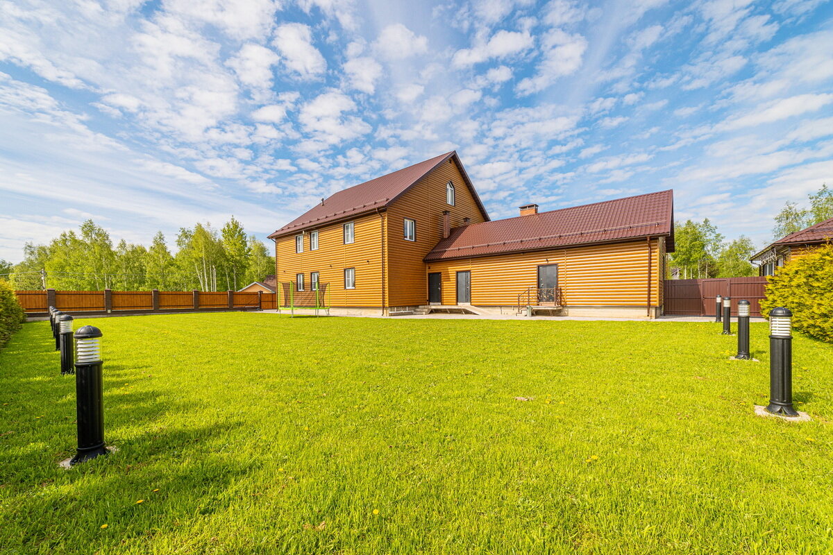 Фото Дельфин