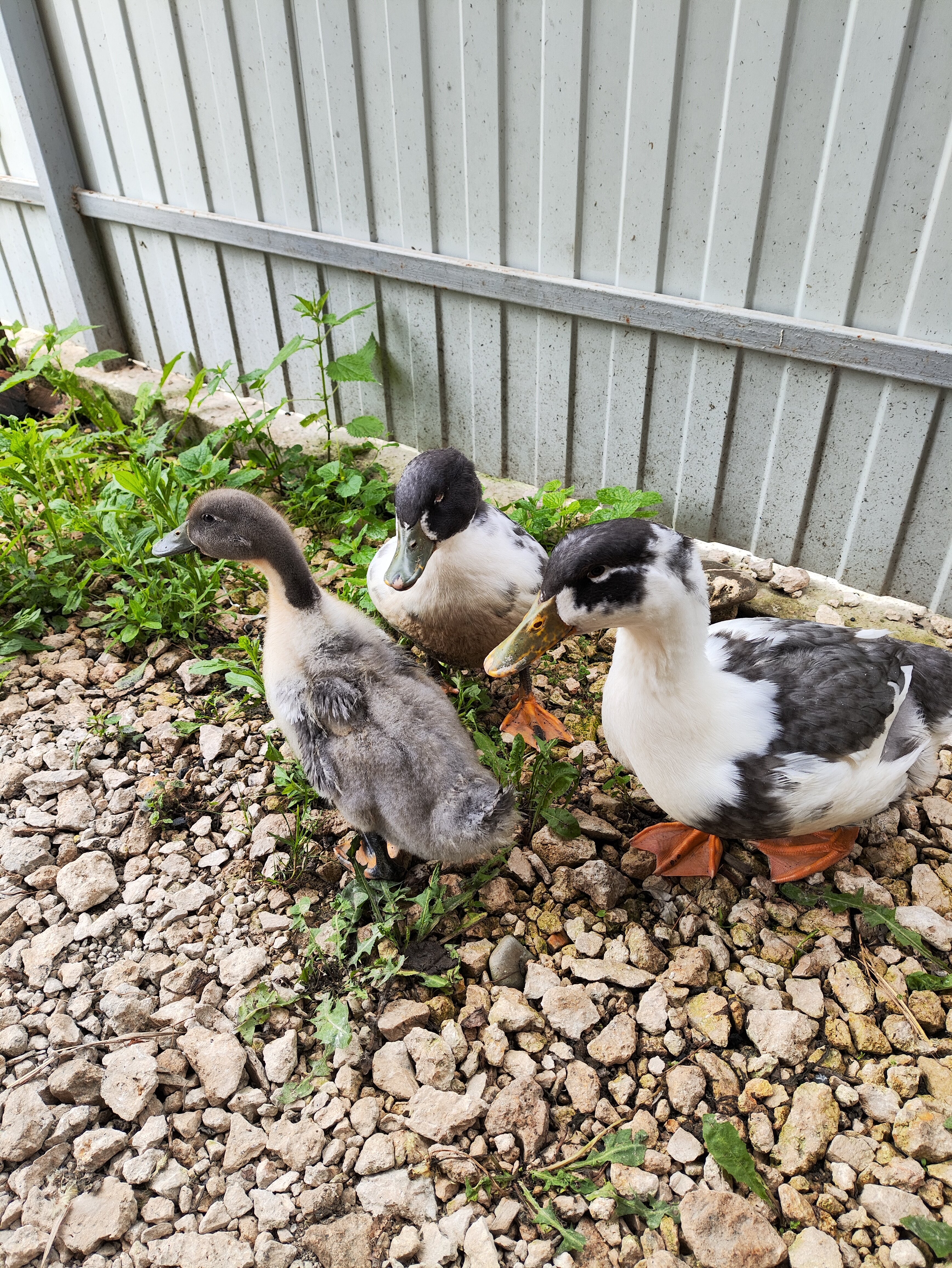 Фото Горы и точка