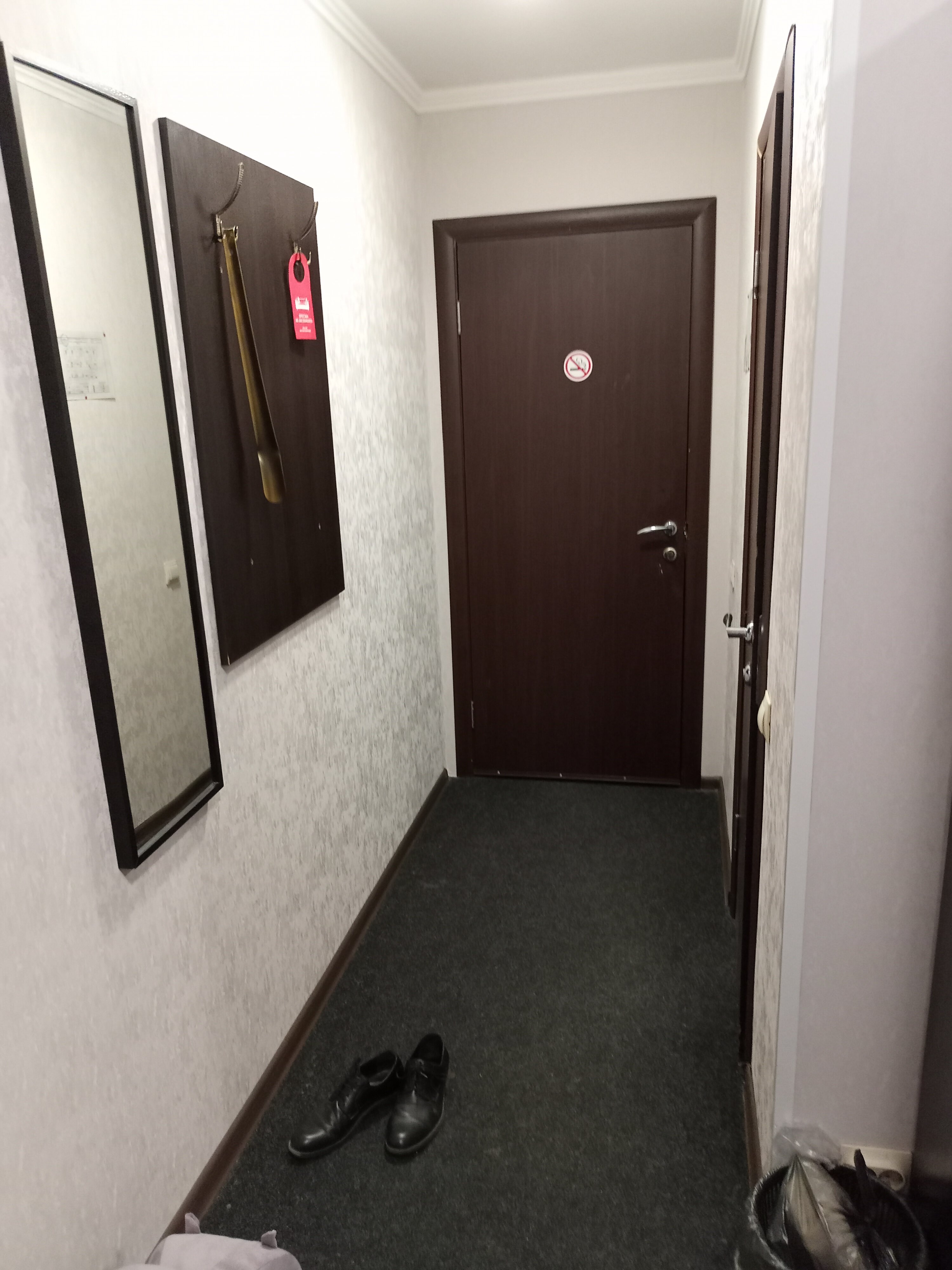 Фото Вояджер