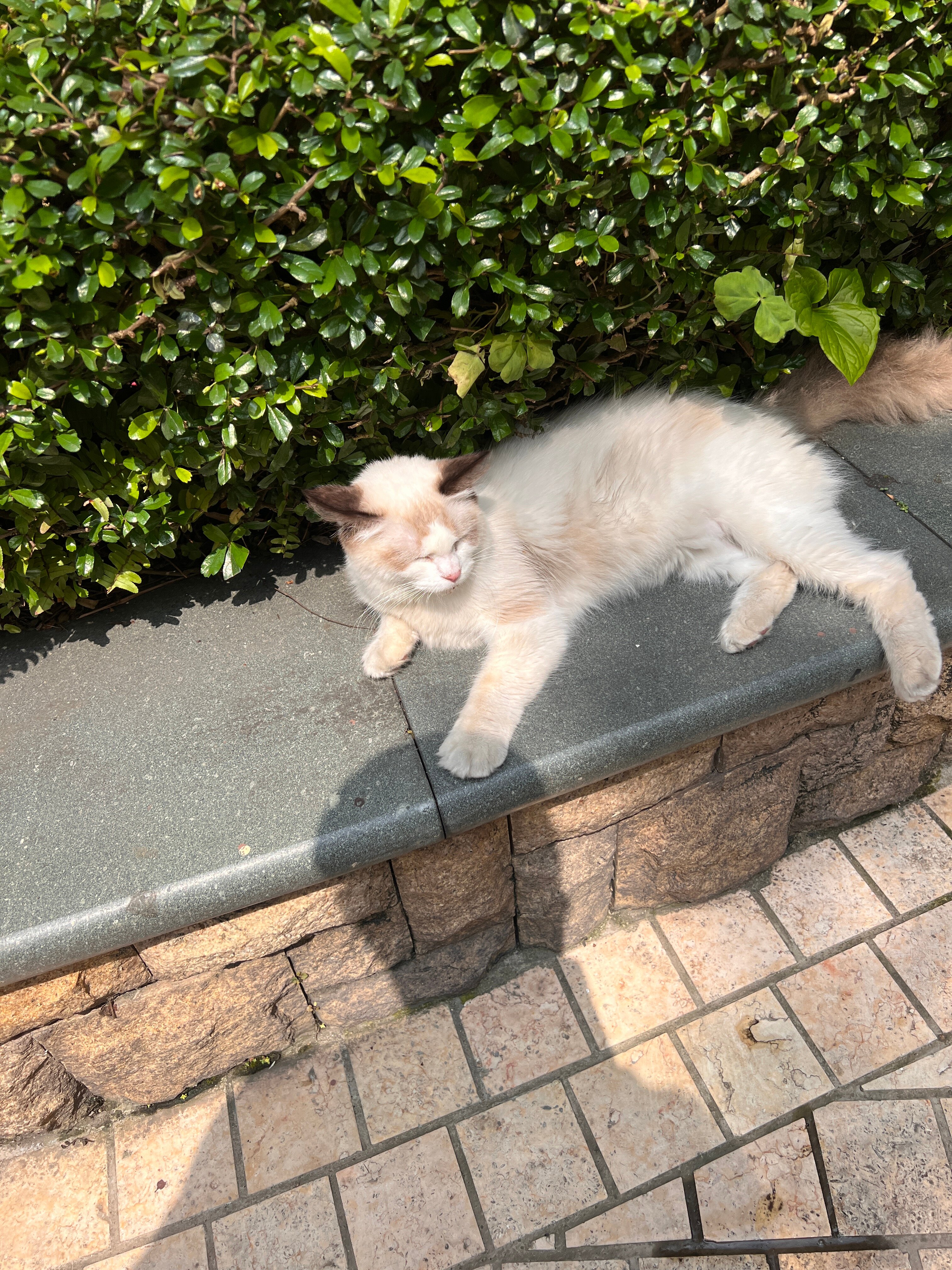 Фото The Interlaken Oct Hotel Shenzhen