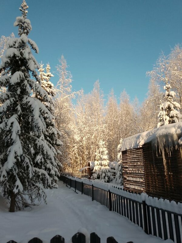 Фото Ёlki Черемыкино