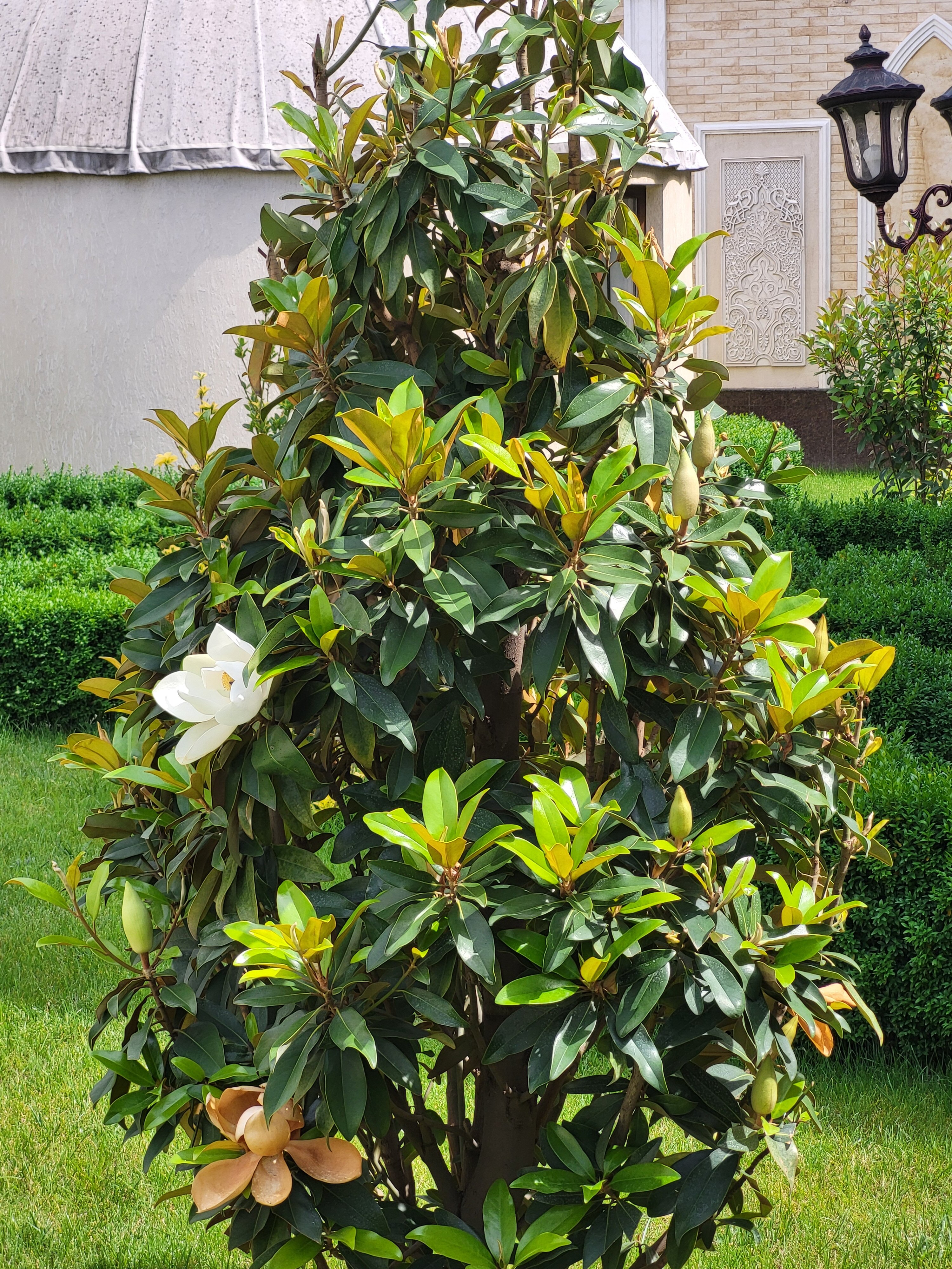 Фото Mirzo Boutique Hotel