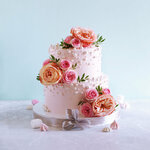 Кондитерская студия Александры Шведовой (Saint Petersburg, Tallinskoe Highway, 75), cake orders