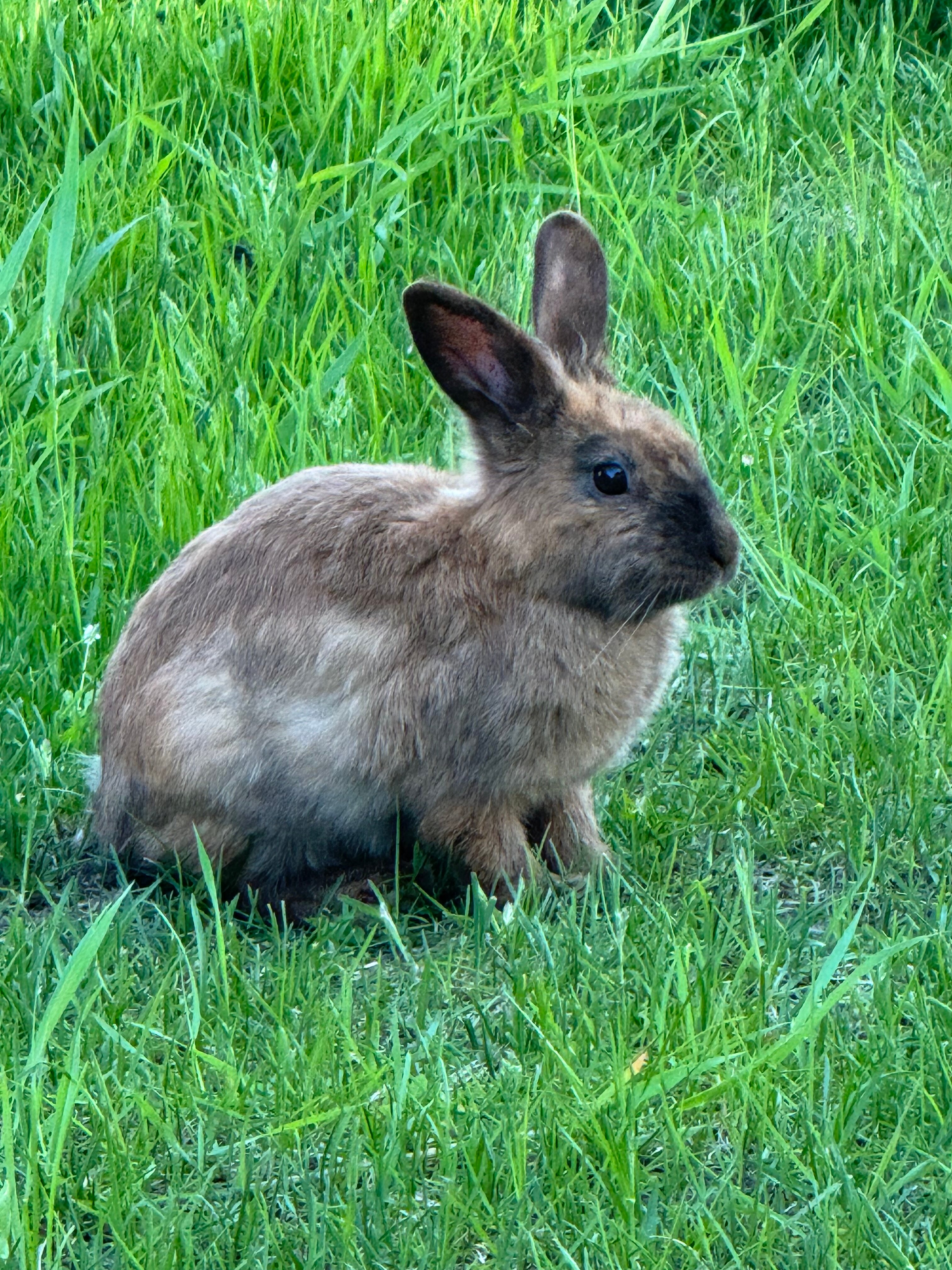 Фото Санрайз Вилладж