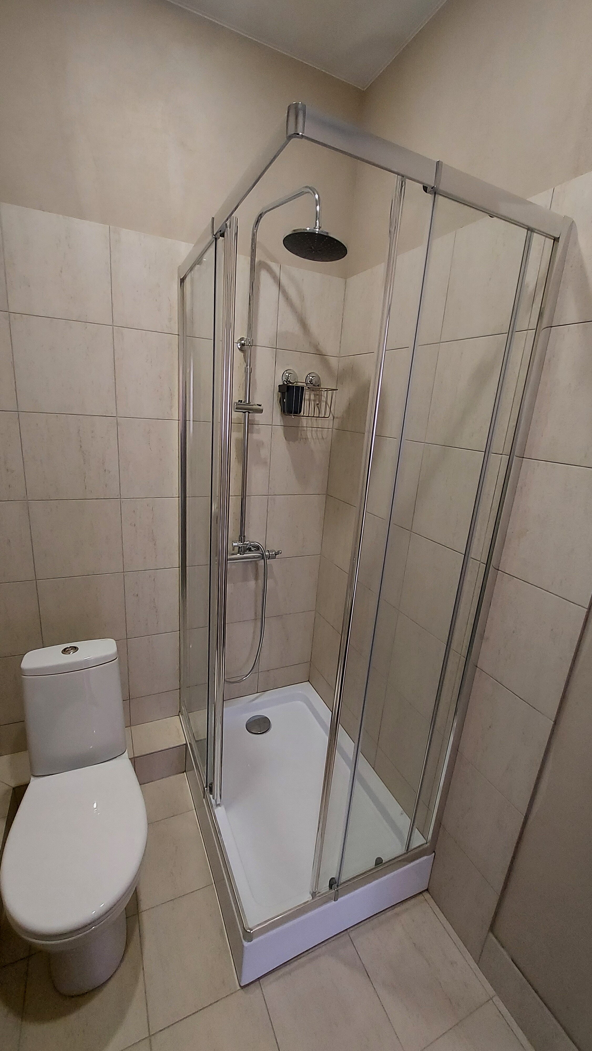 Фото Ёлки-Палки