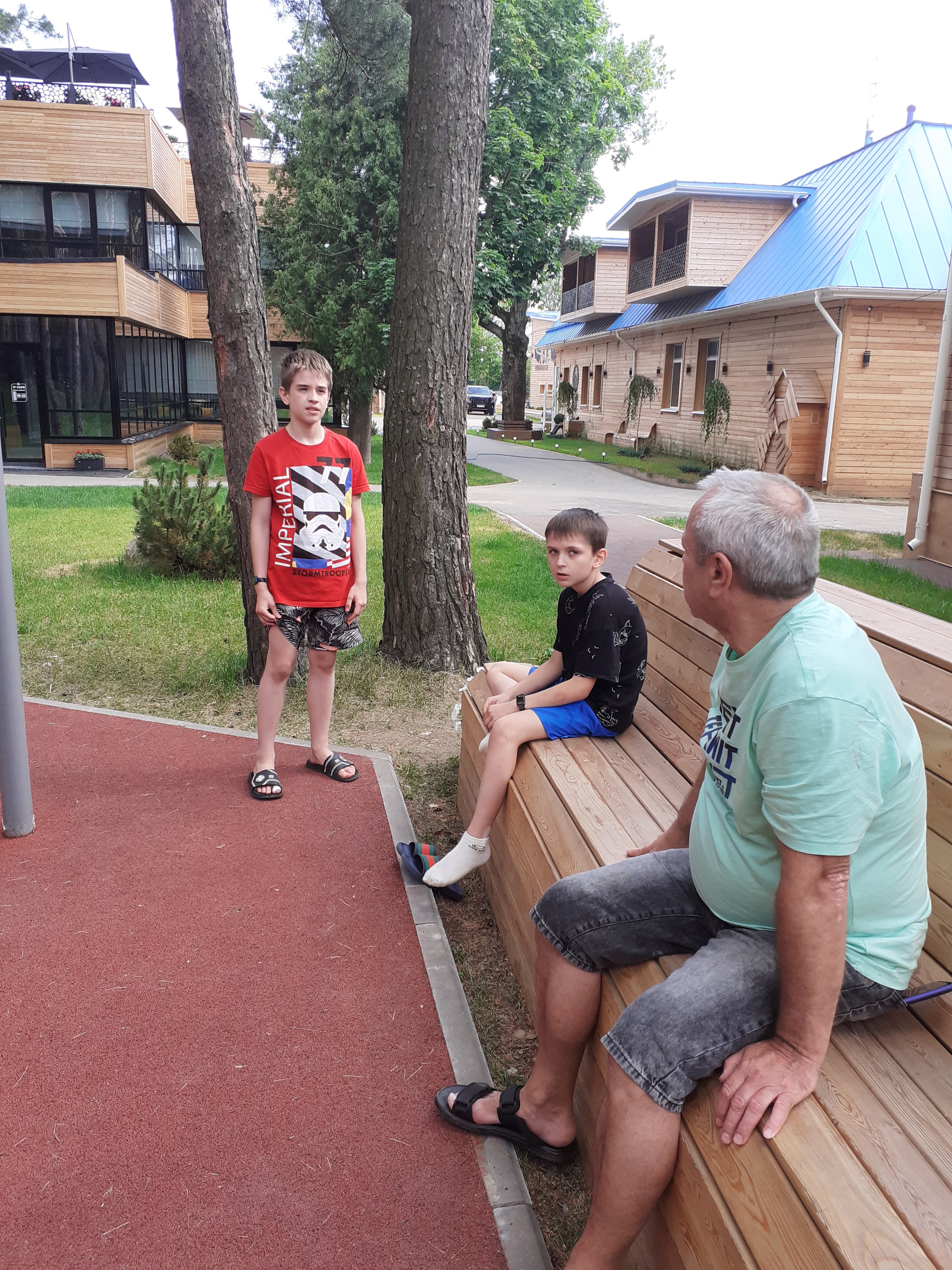 Фото Лесная опушка