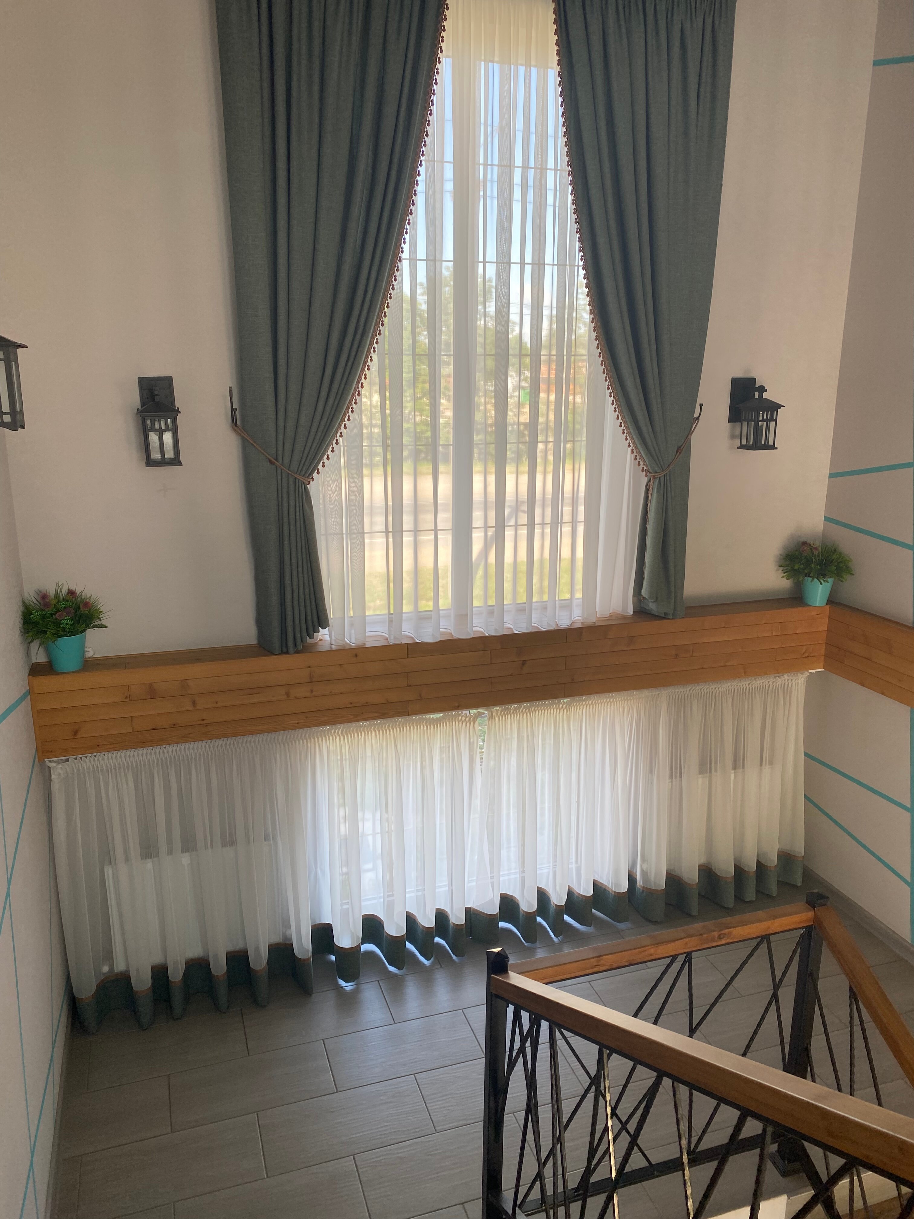 Фото Березка