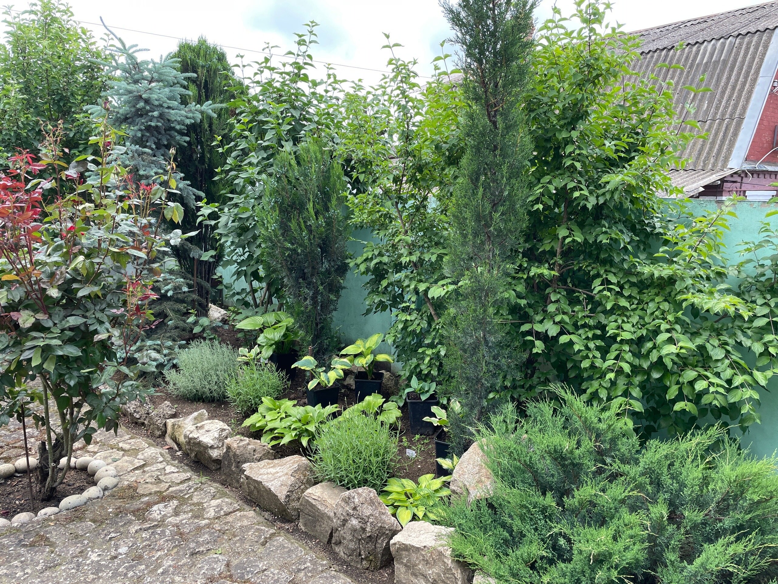 Фото Фортуна