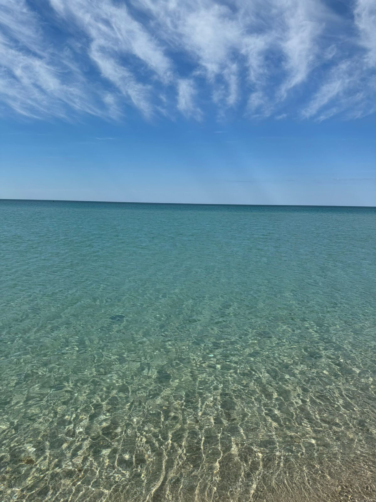 Фото Беляус