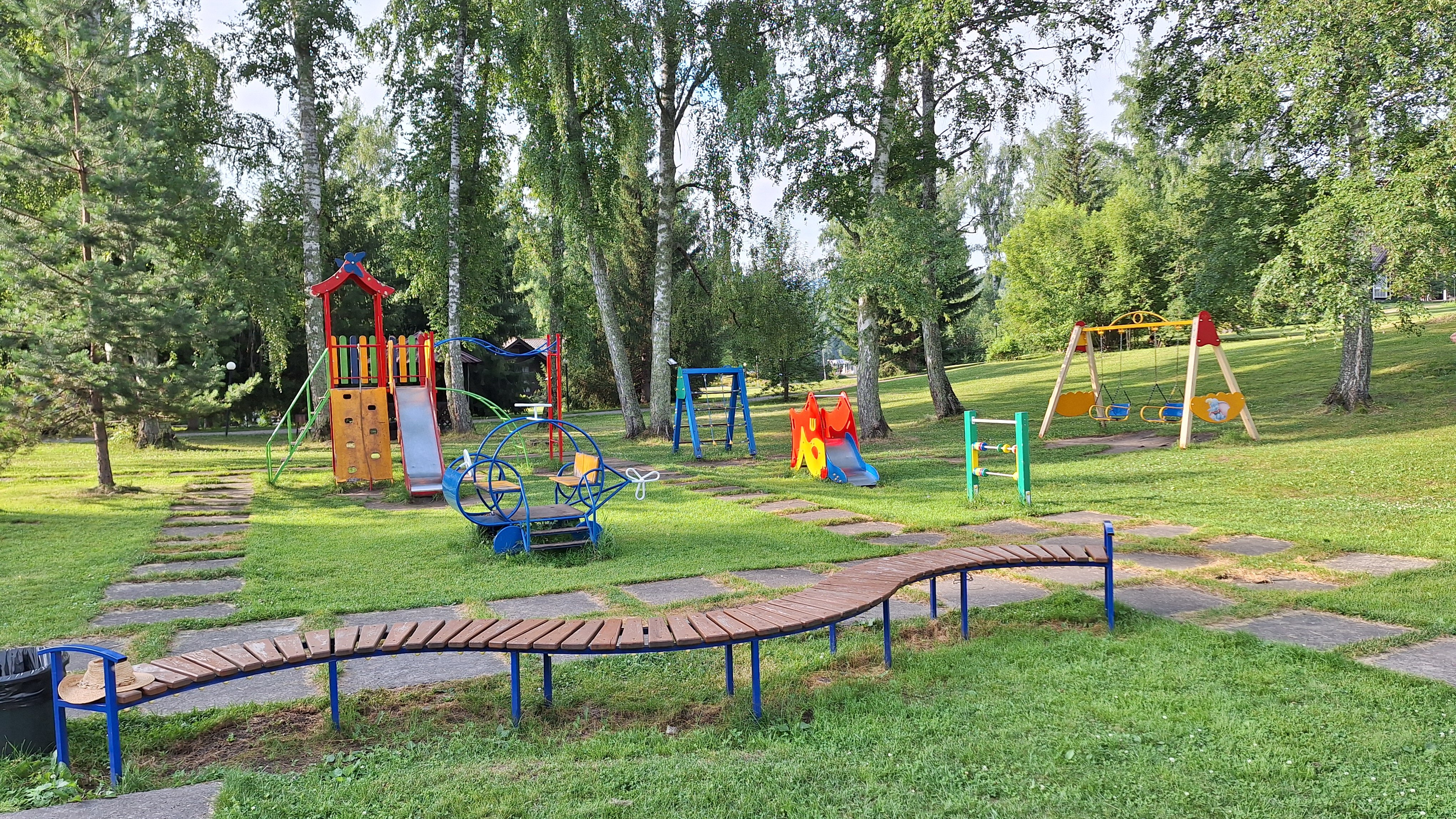 Фото Берёзка