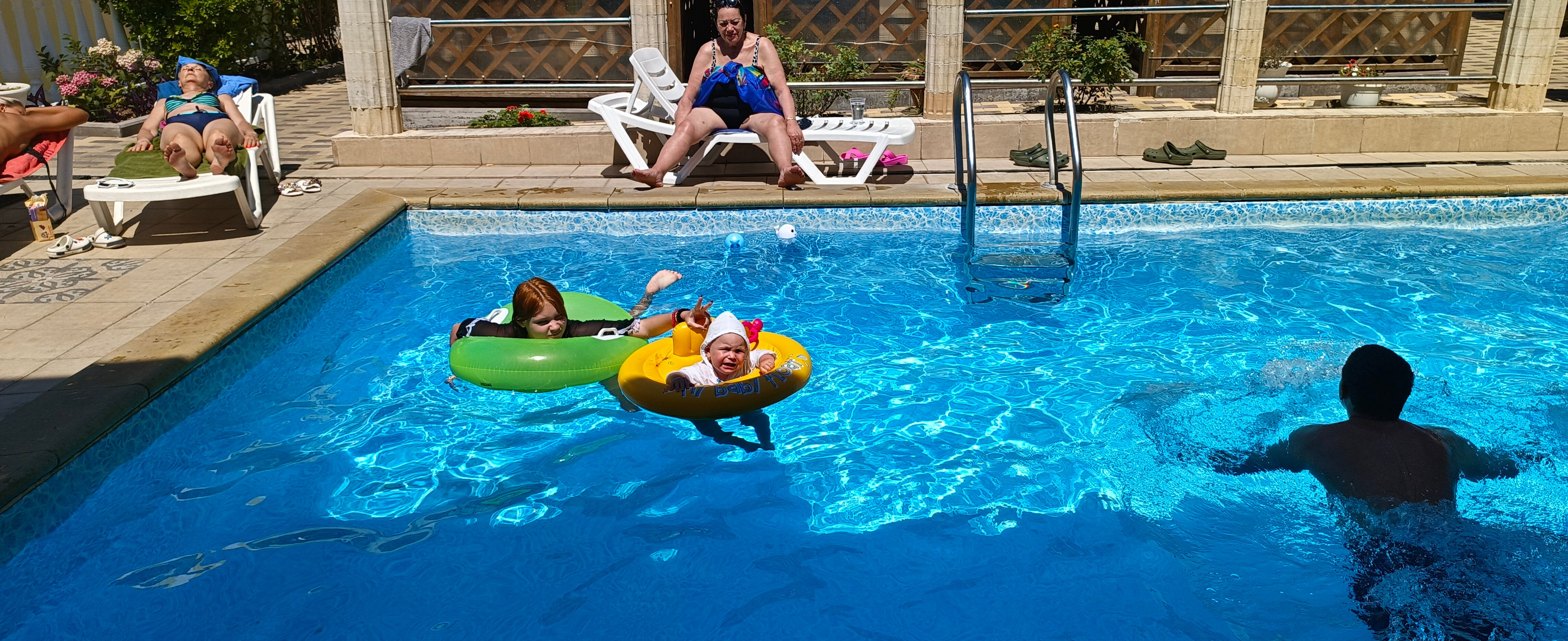 Фото Дельфин