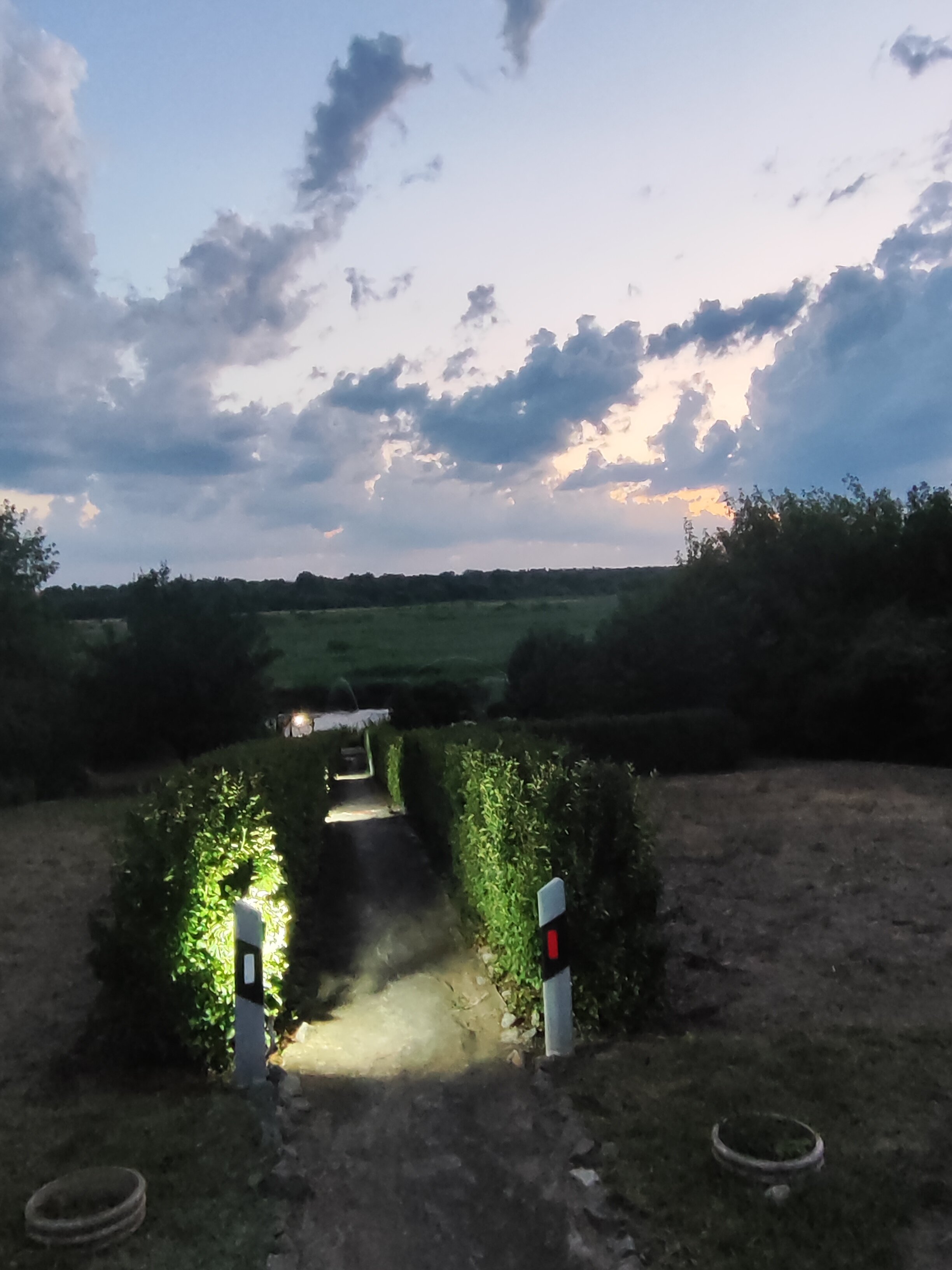 Фото Ивушка