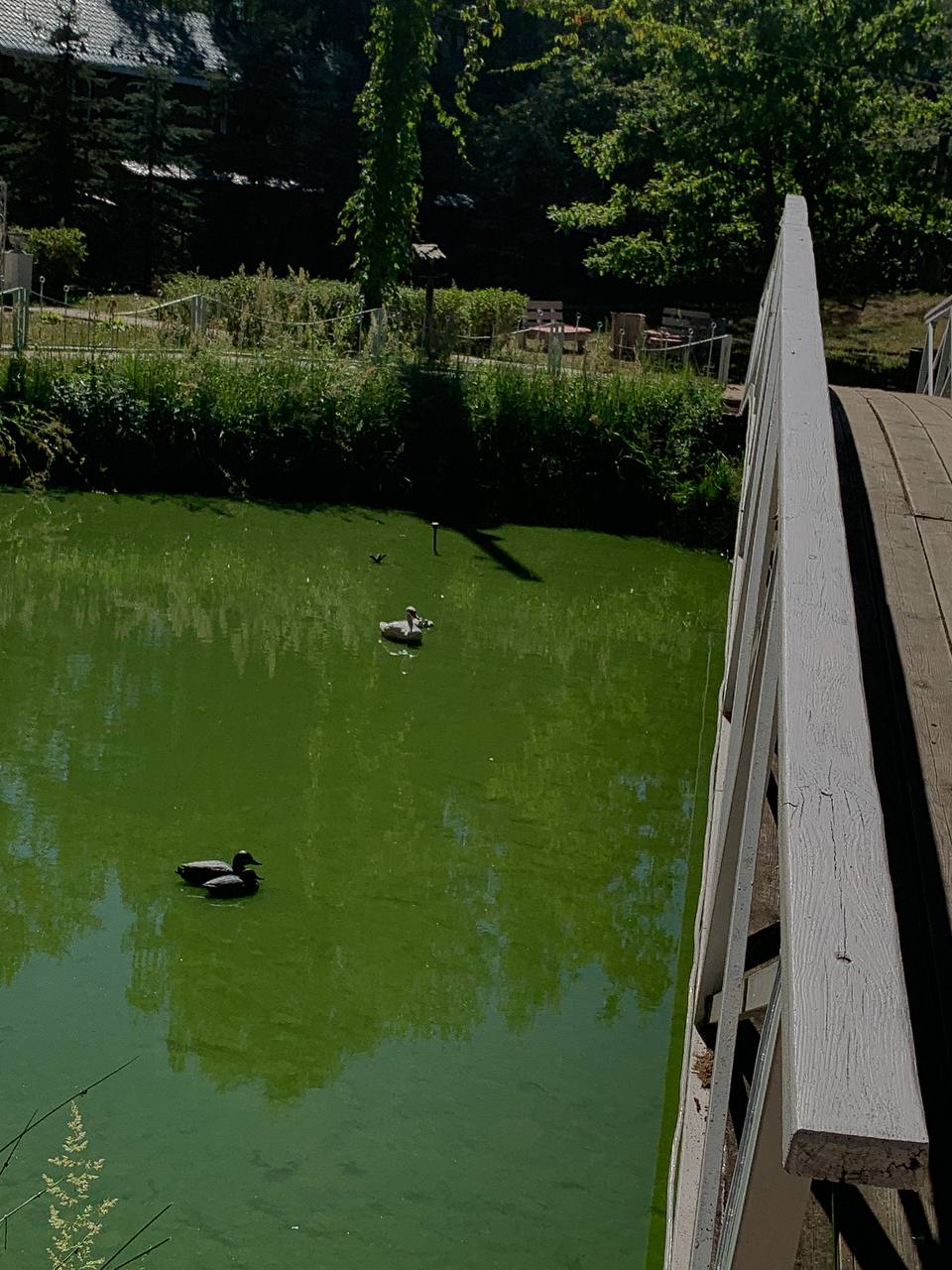 Фото На Ватоме