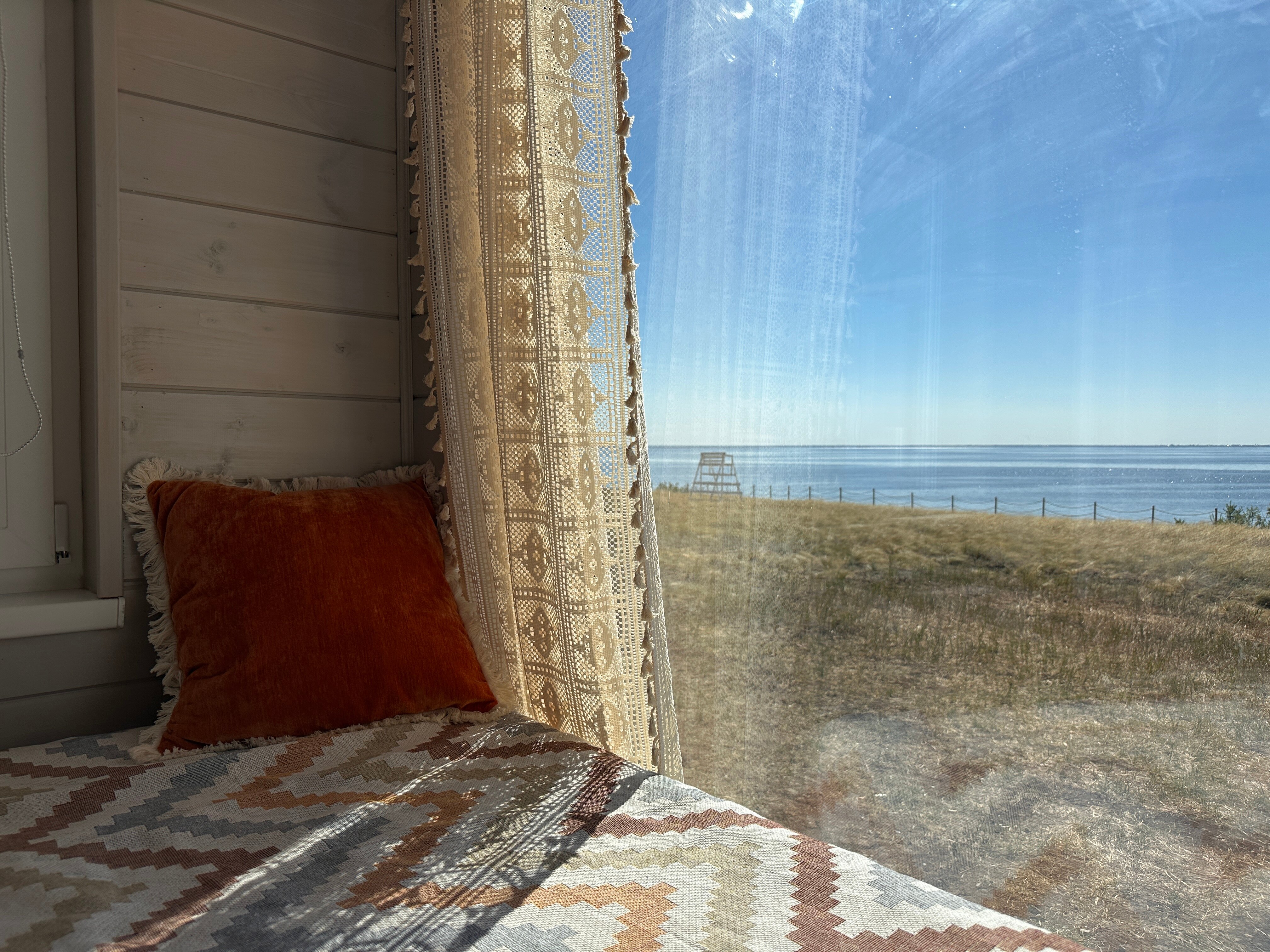 Фото Полынь