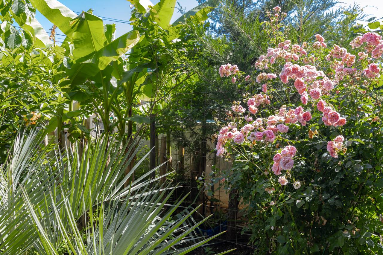 Фото АквариумЛоо