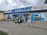 Mustang (ulitsa Nikolayenko, 53), auto parts and auto goods store