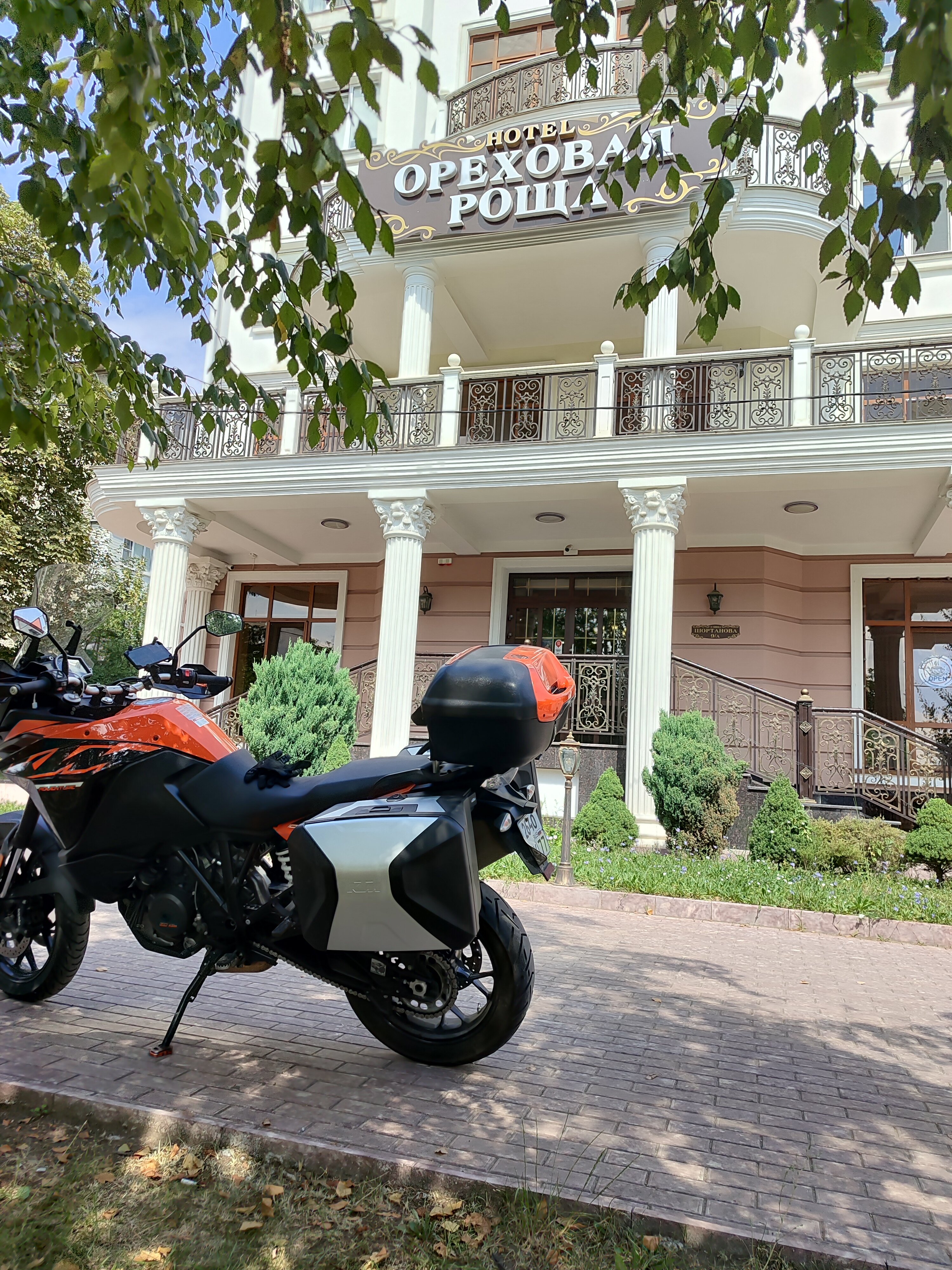 Фото Ореховая роща