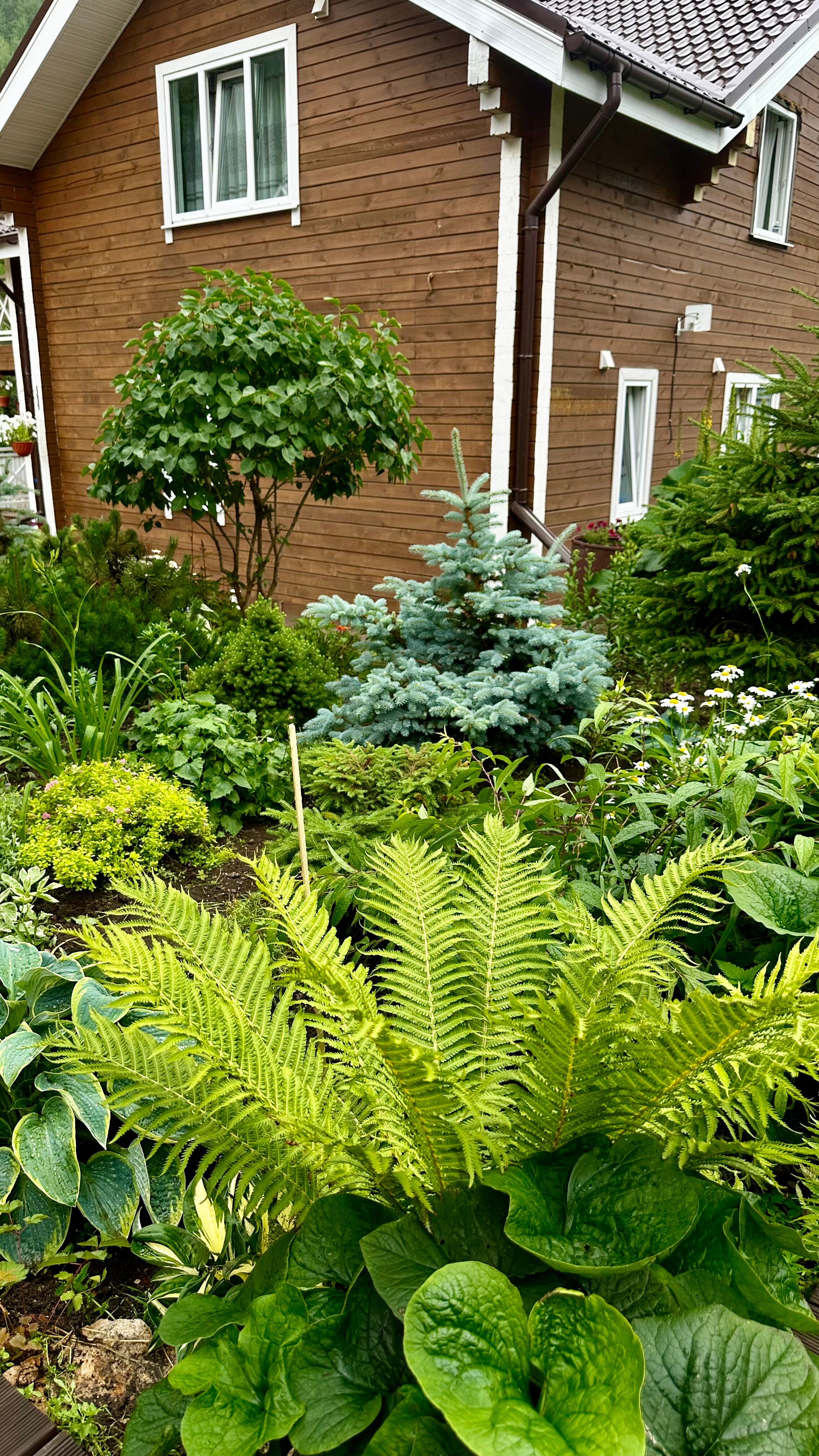 Фото Комфорт Хаус