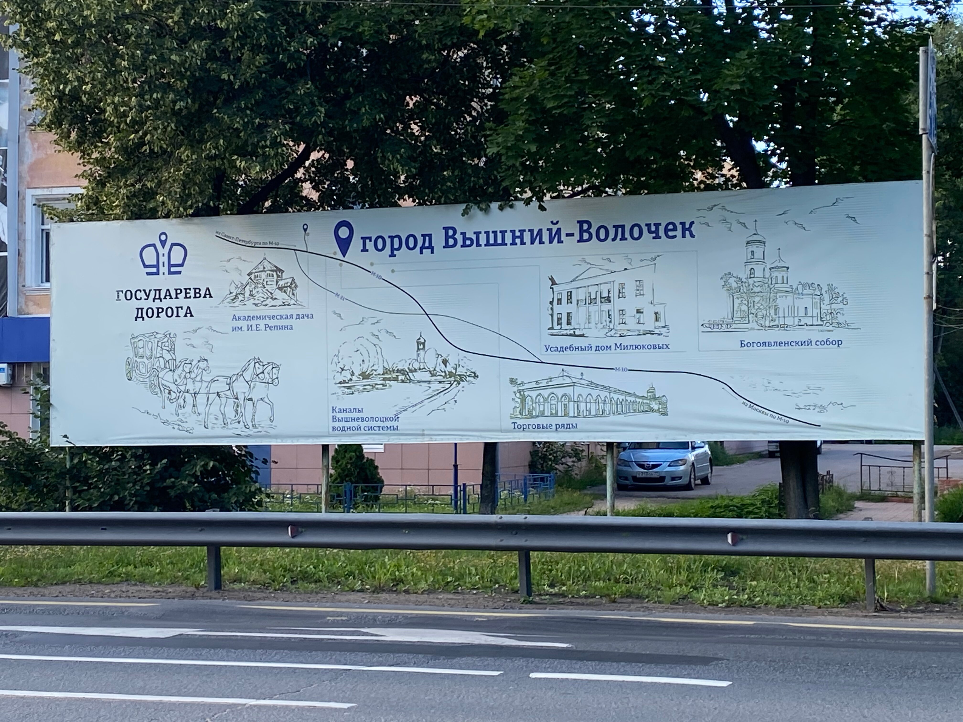 Фото Берёзка