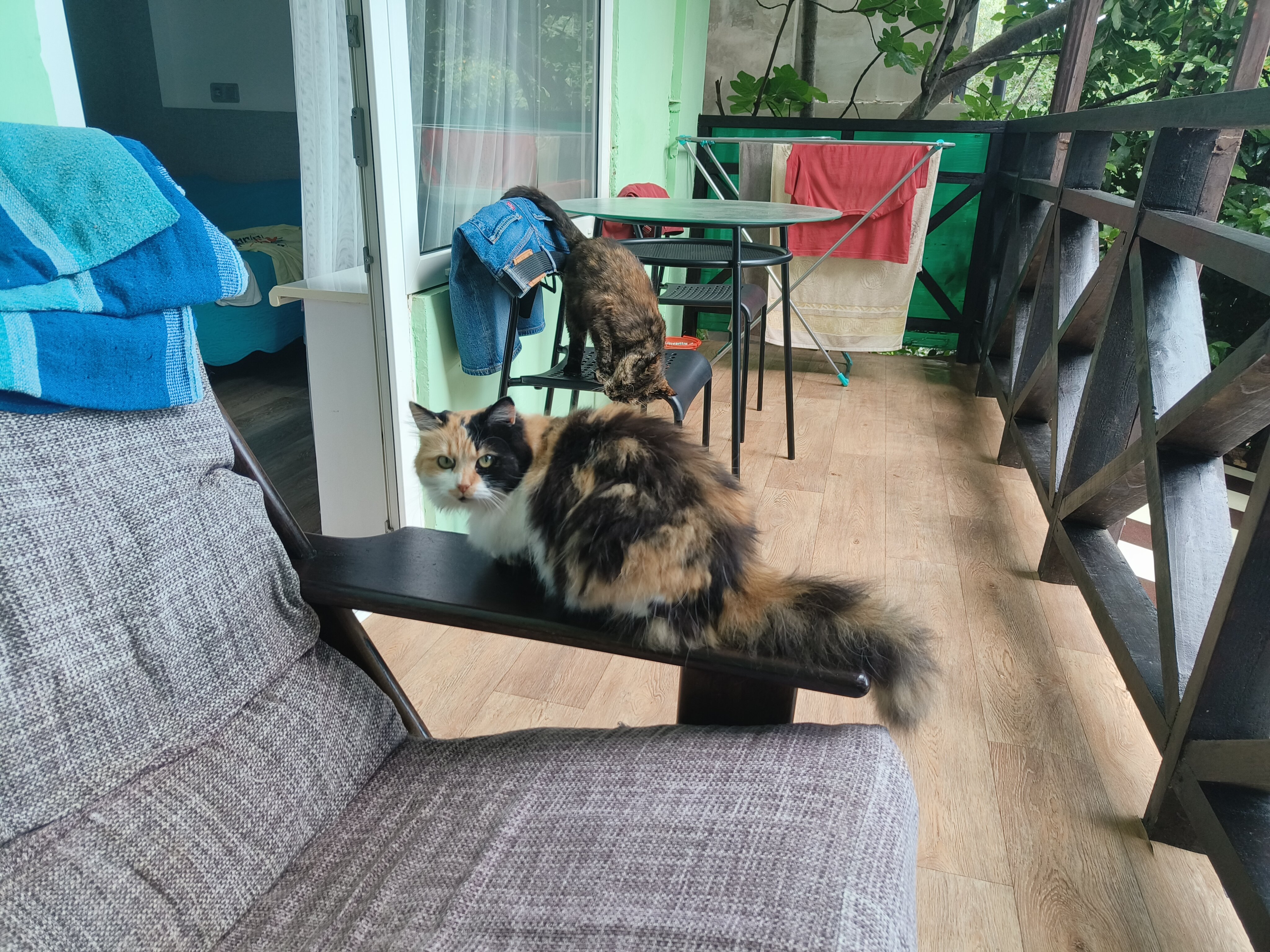 Фото Усадьба Инжир