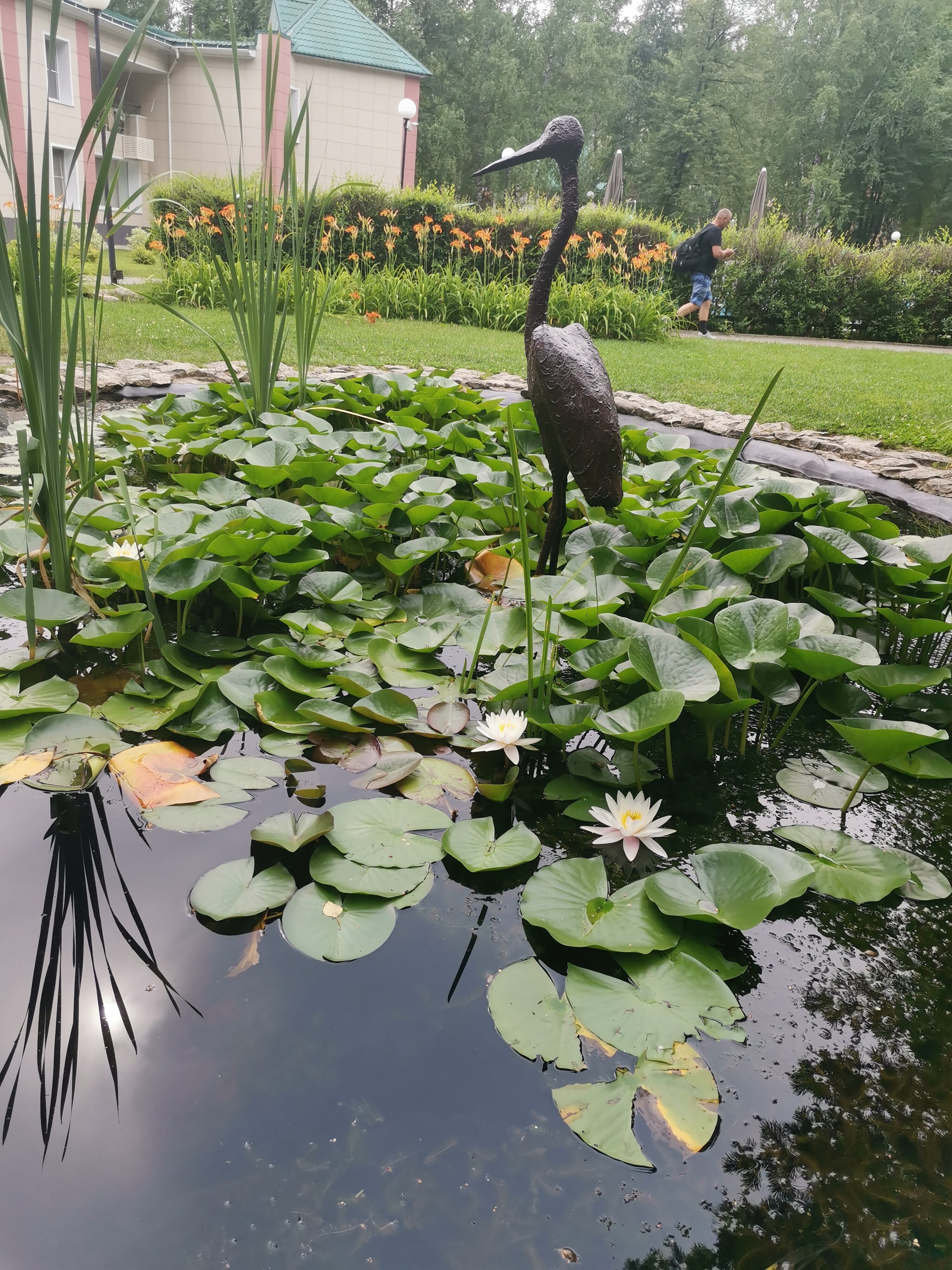 Фото Алтай West