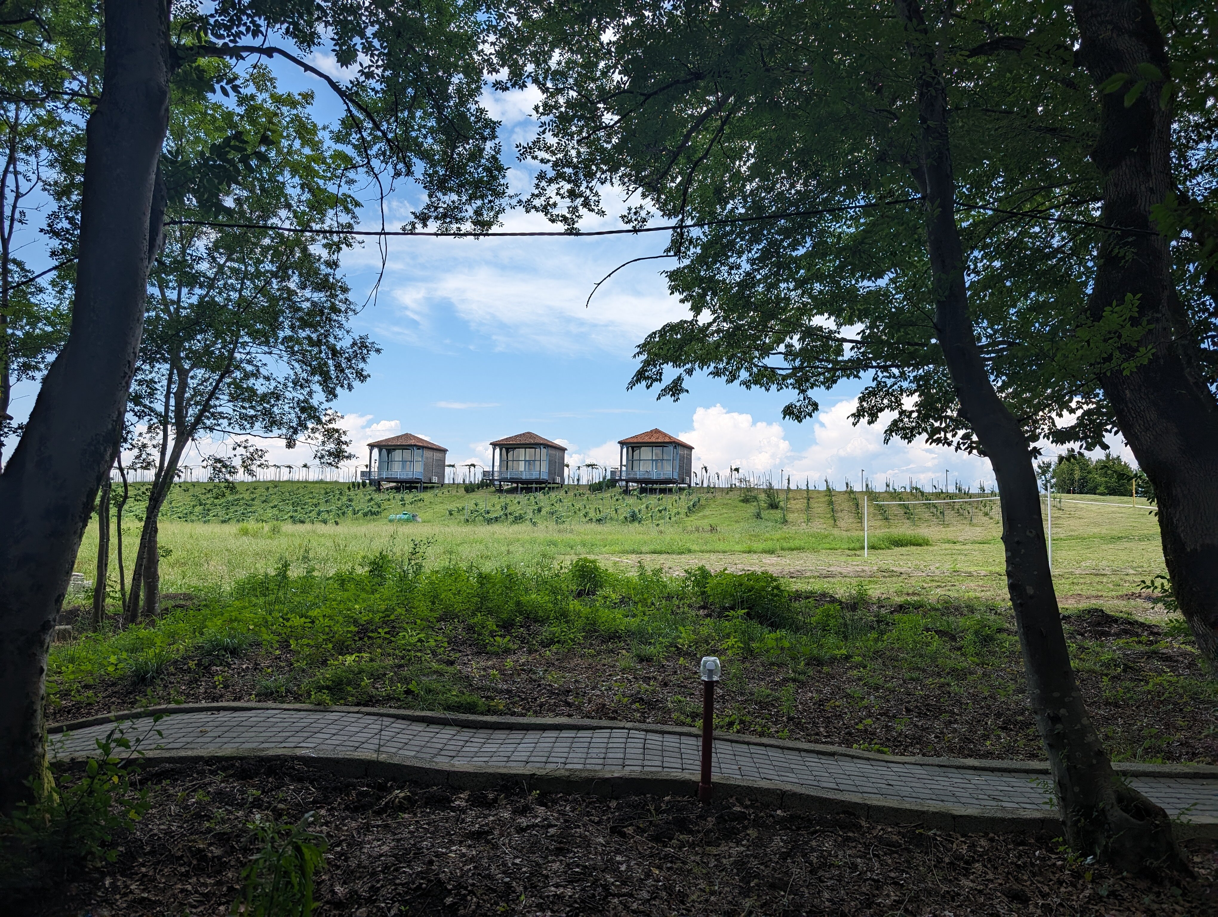 Фото Chateau Vartsikhe