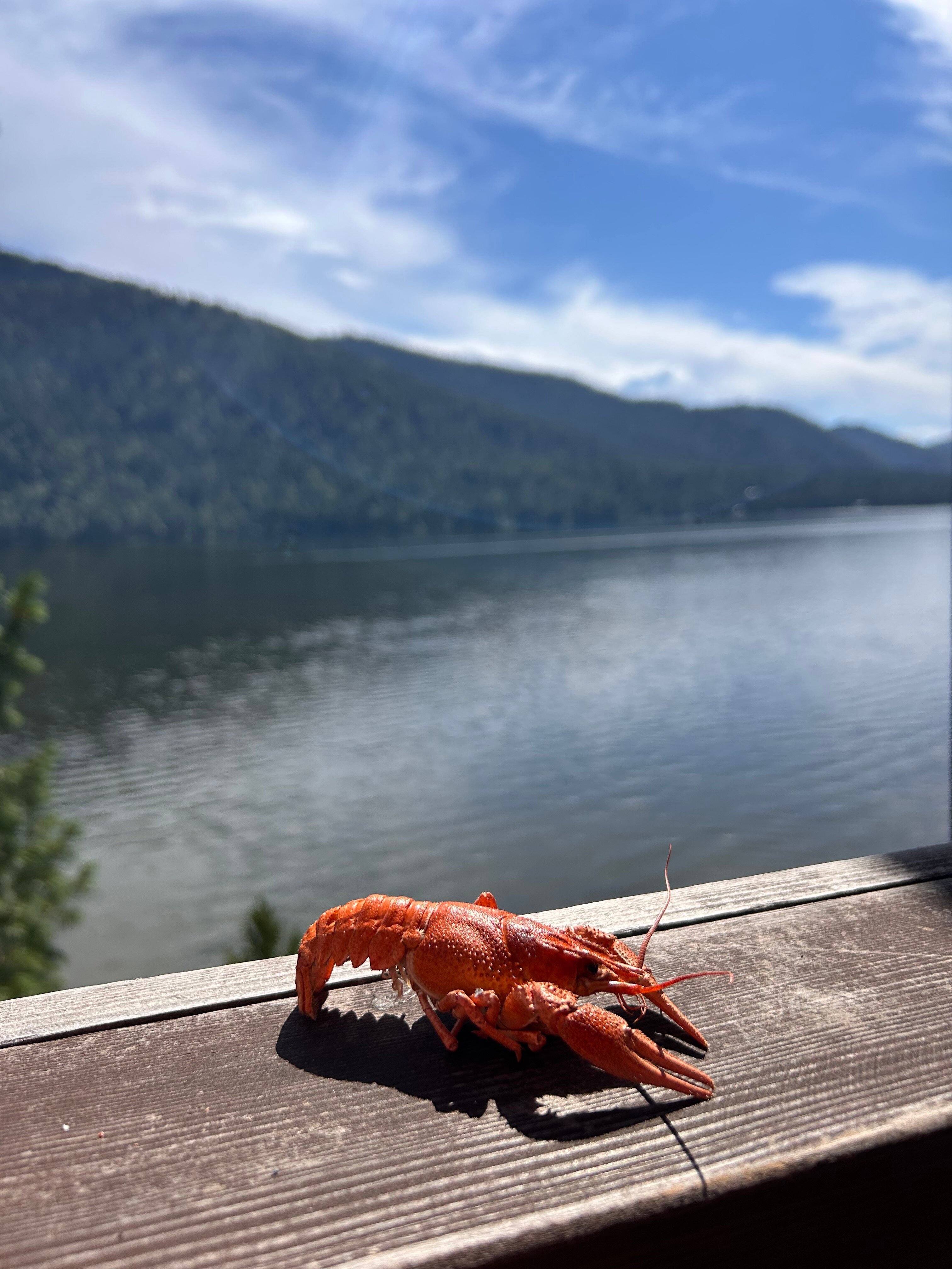 Фото Горное озеро