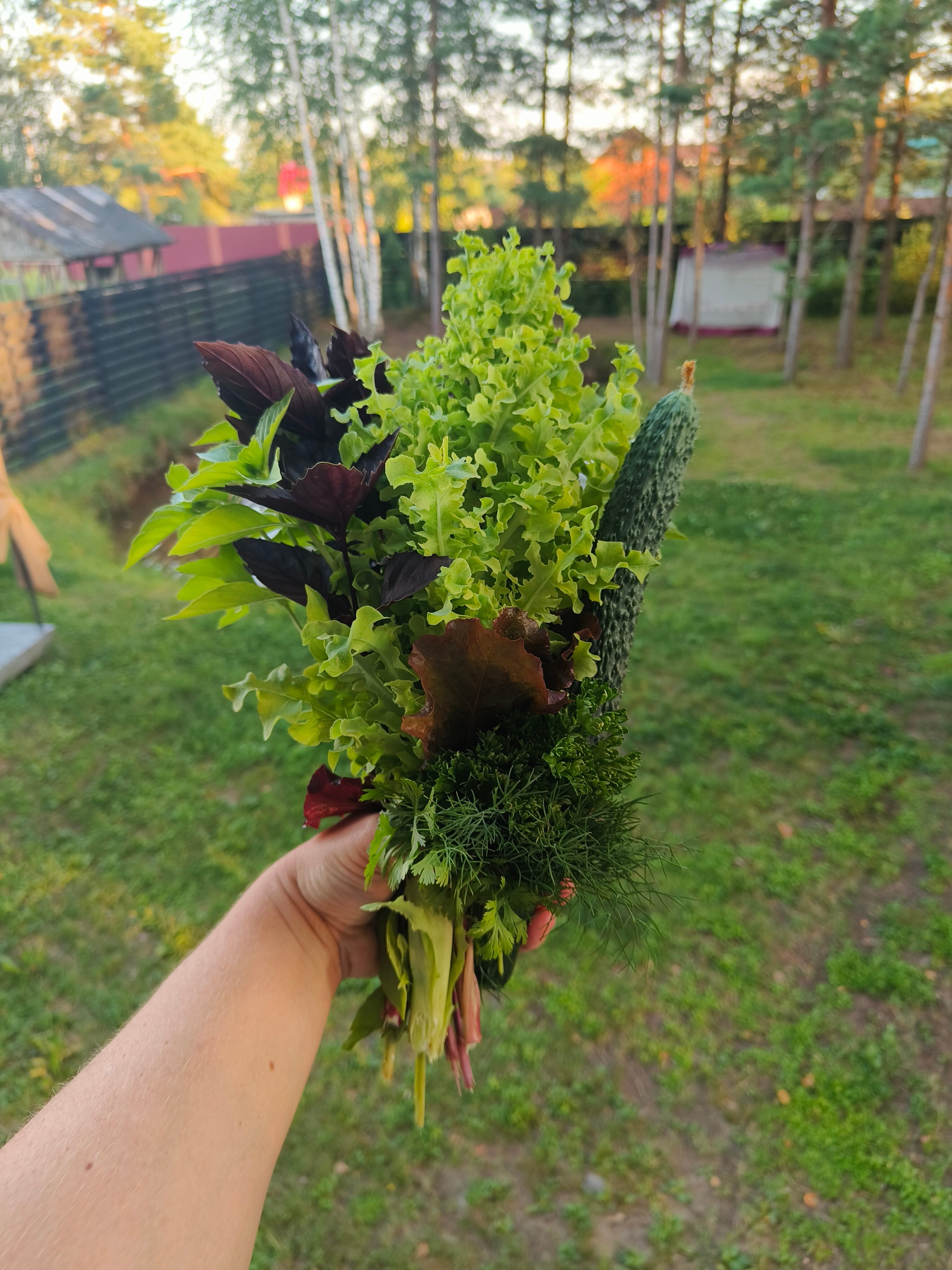 Фото Домик в лесу.76