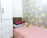 Фото Elm Tree Guest House Myeongdong