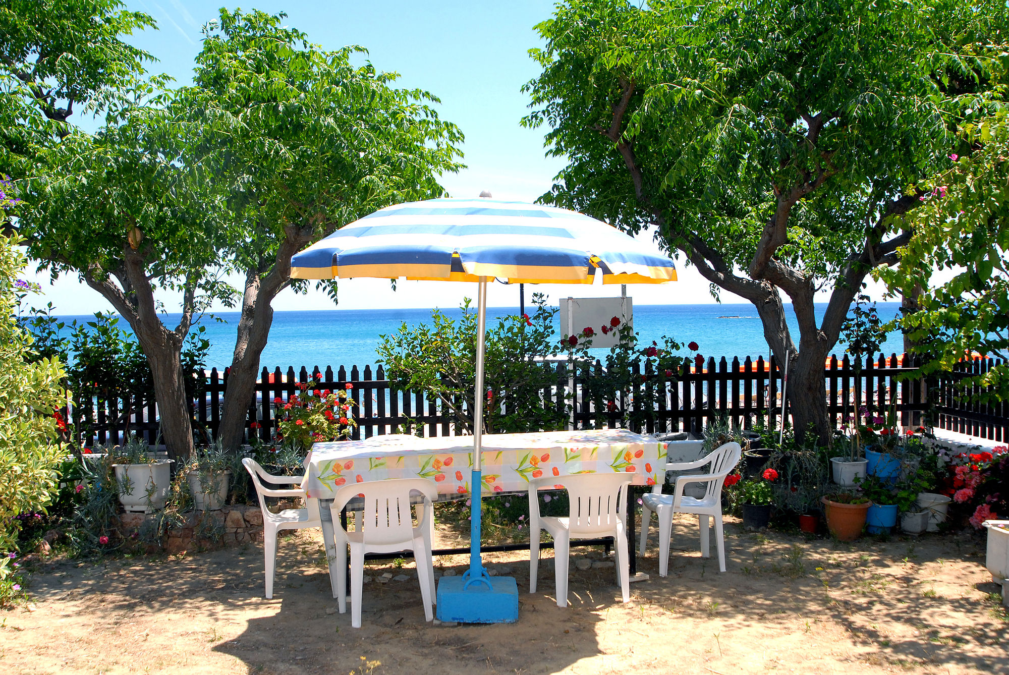 Фото Stegna Ilion