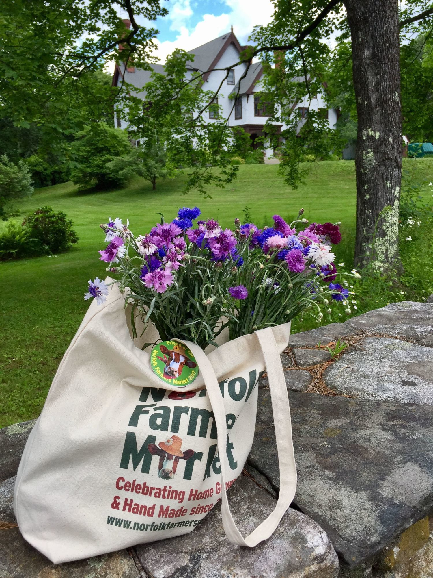 Фото Manor House Inn