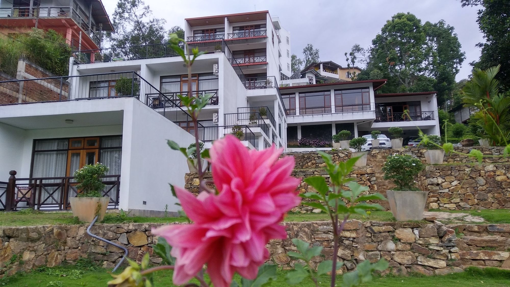 Фото Hotel Alta Vista