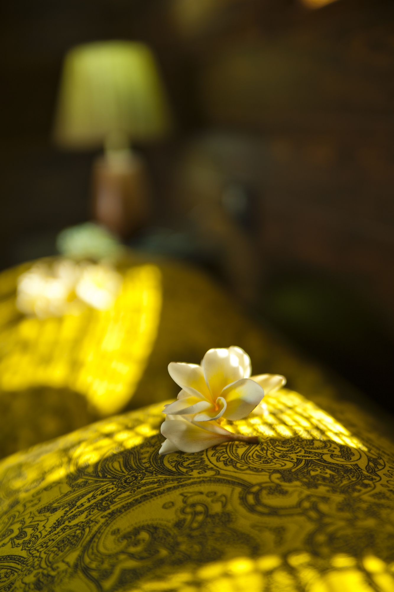 Фото Eco Woods Village