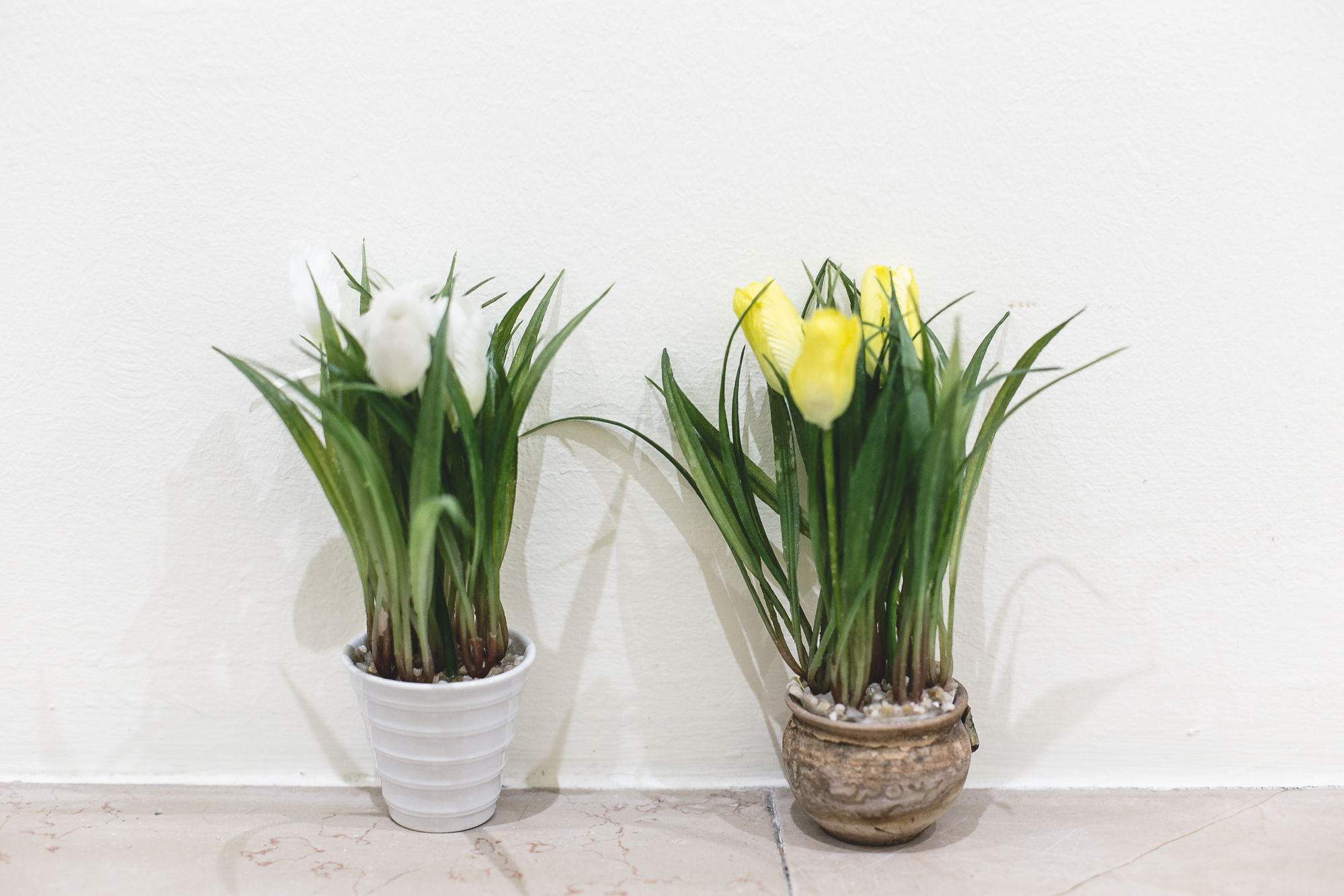 Фото Il Quadrifoglio Room&Suite