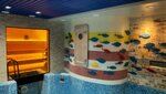 Академические бани (ул. Мусы Джалиля, 14, Советский район, микрорайон Академгородок, Новосибирск), баня в Новосибирске