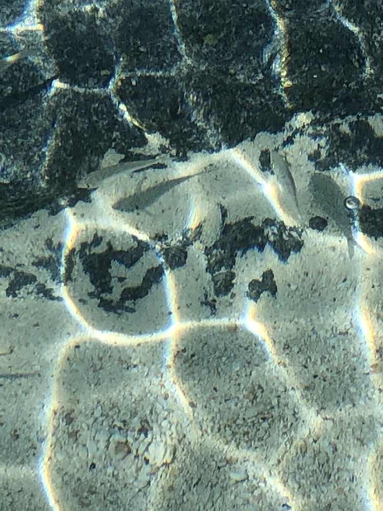 Фото Отель The Sunset Cove And Rainbow Room