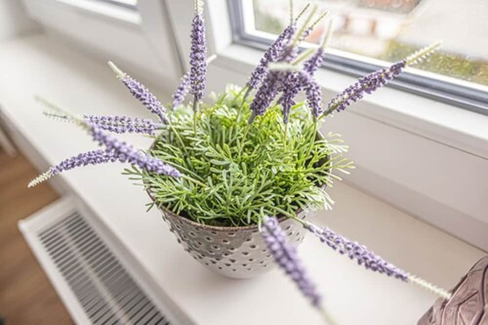 Фото Dehnhaide Apartments